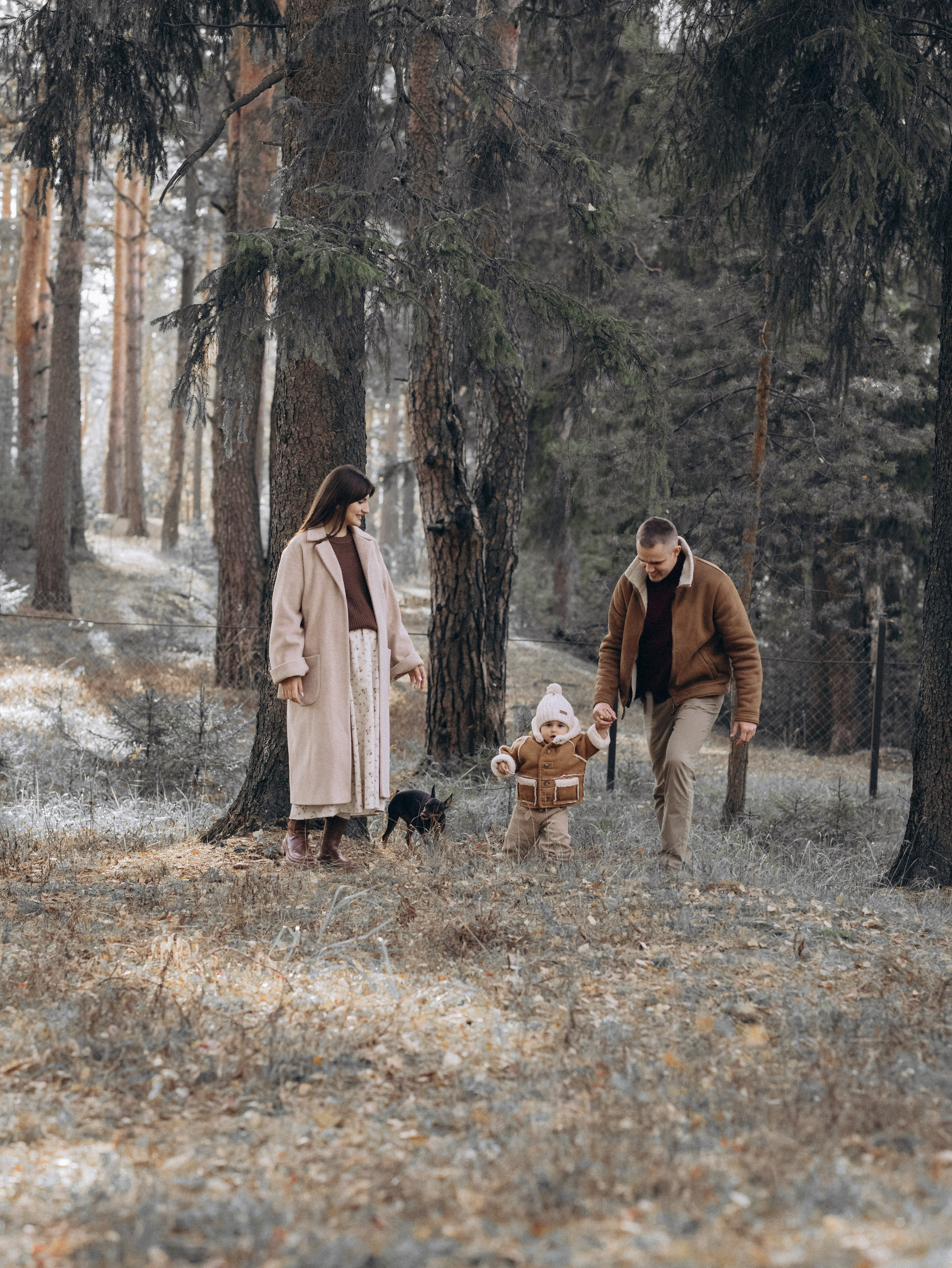 Теплая осень. Фотограф-анималист в Москве Кириллова Татьяна