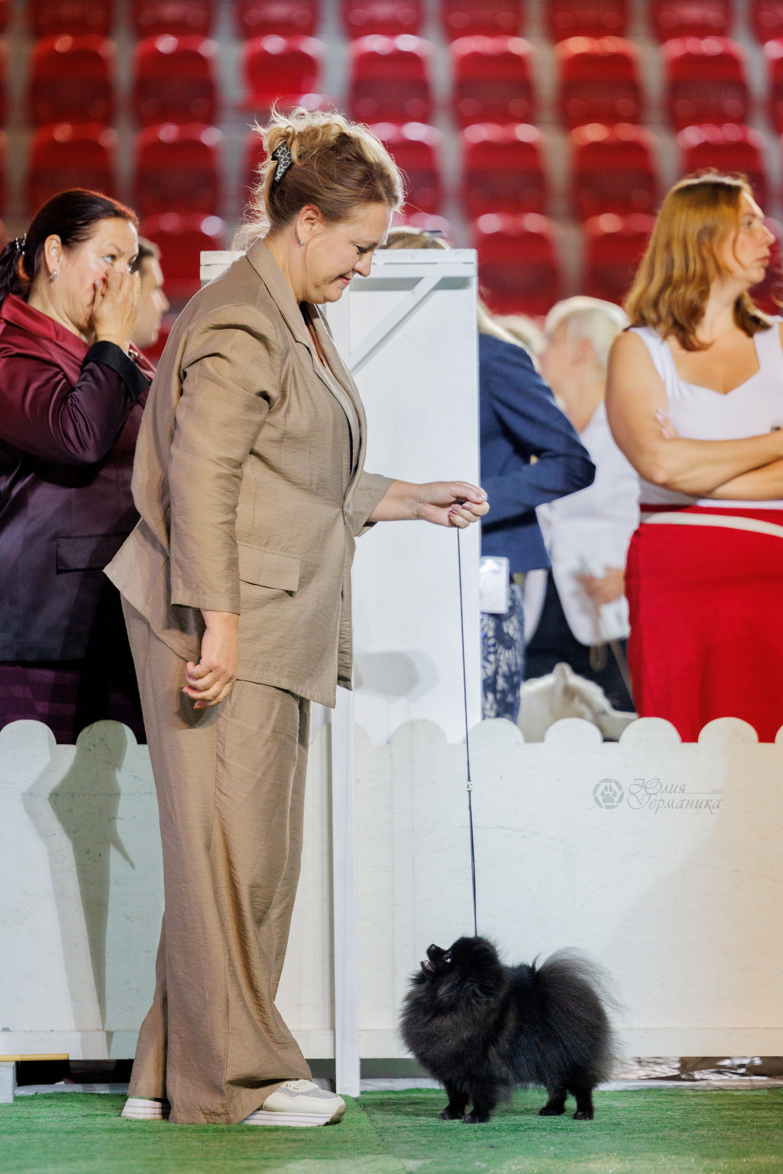 Грузия,Телави 2хCACIB 19-20.10.2024. Фотограф-анималист Юлия Германика