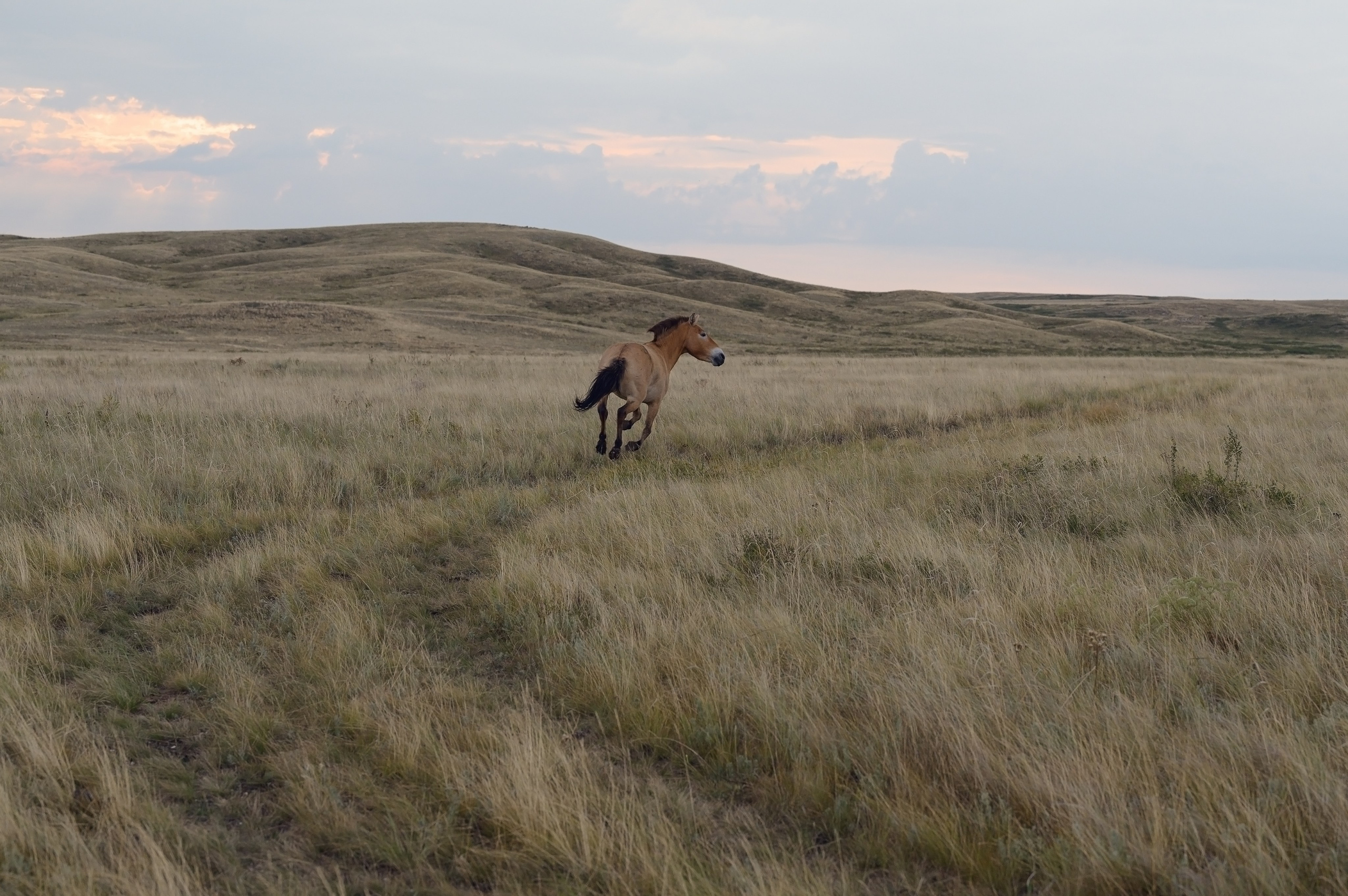 В природе. Портретный фотограф в Челябинске Катерина Руди