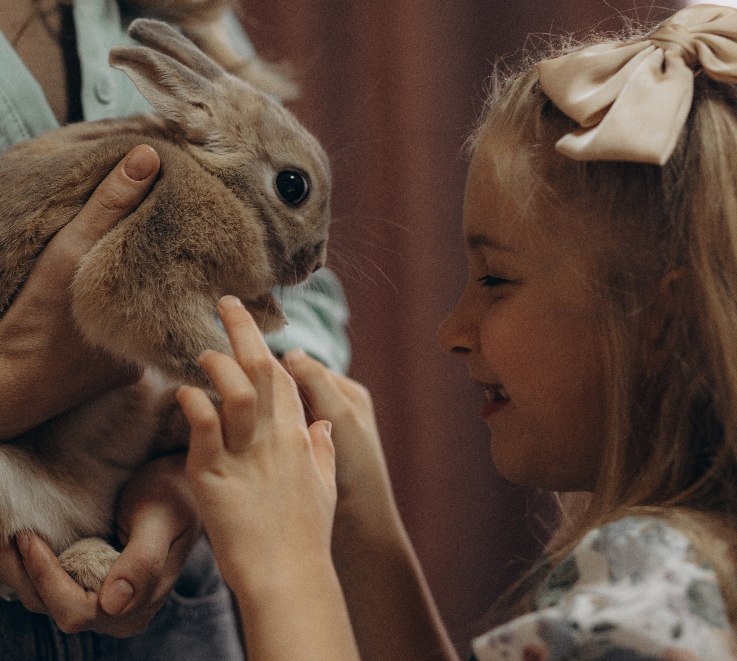 «Ушастые истории». Фотограф Алина Ионычева в Новосибирске
