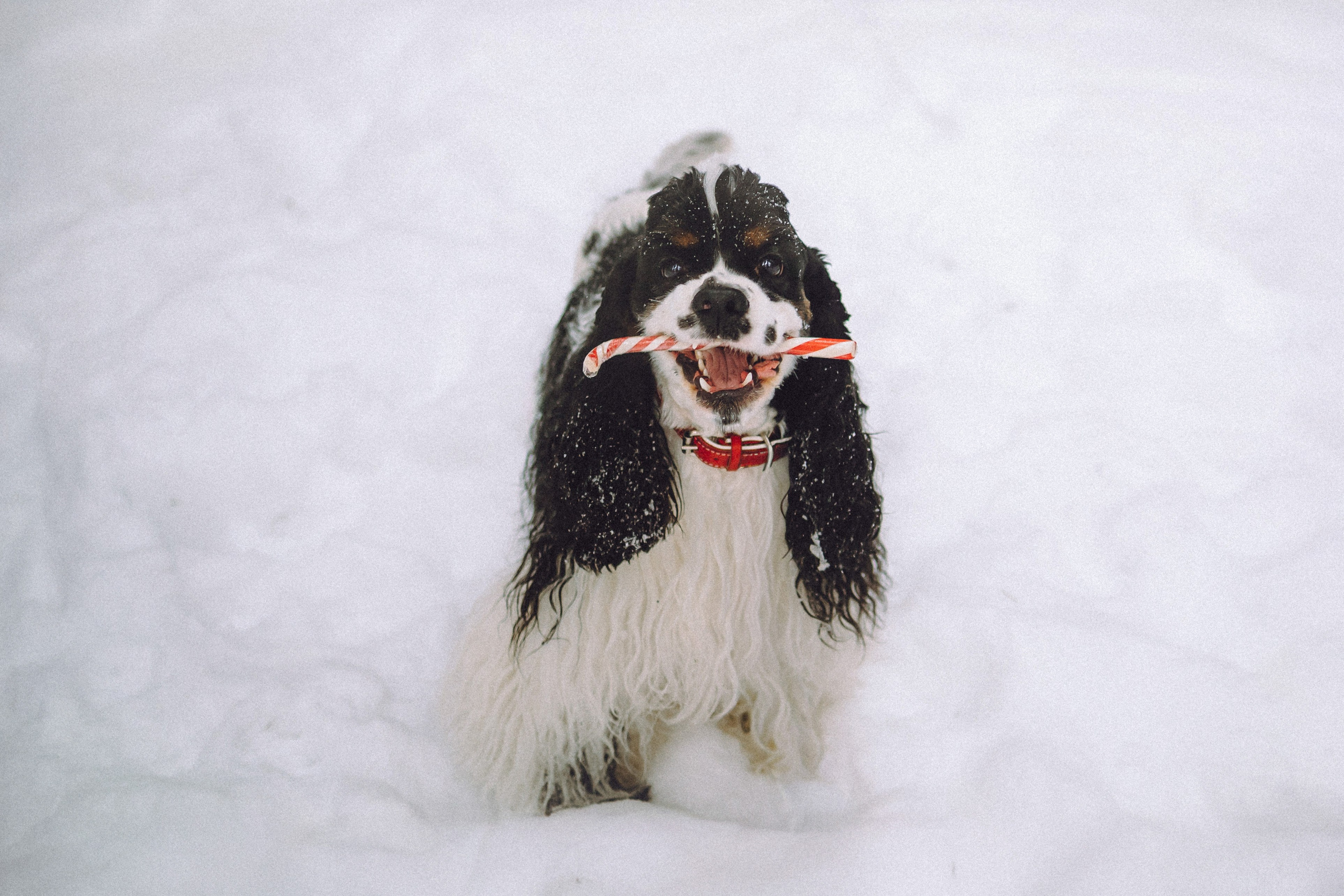 Ольга и Патрик