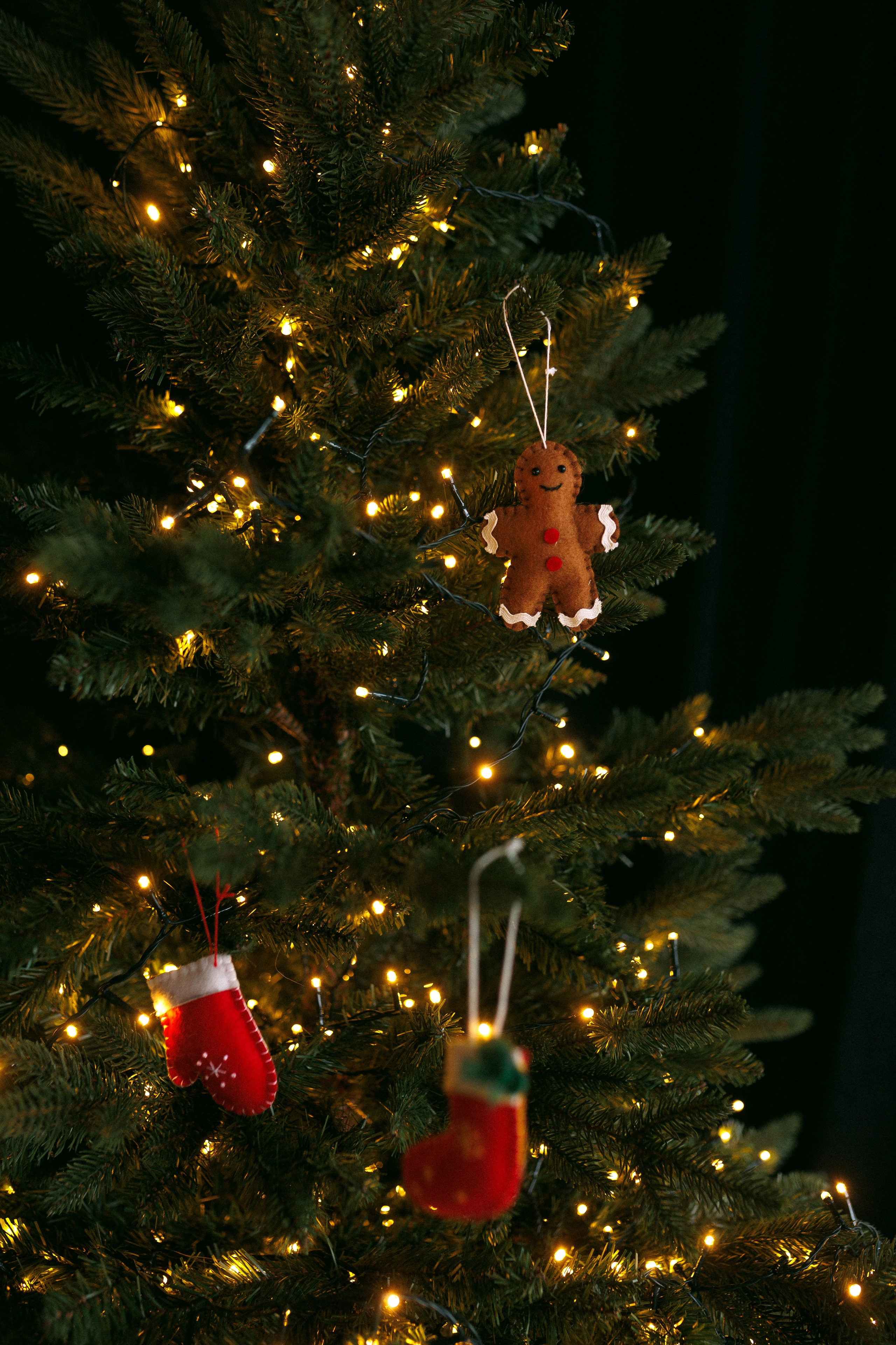 Герман, Елена и Марк. В преддверии Нового года. Настя Оленченко, портретный/семейный фотограф на цифру и плёнку Москва