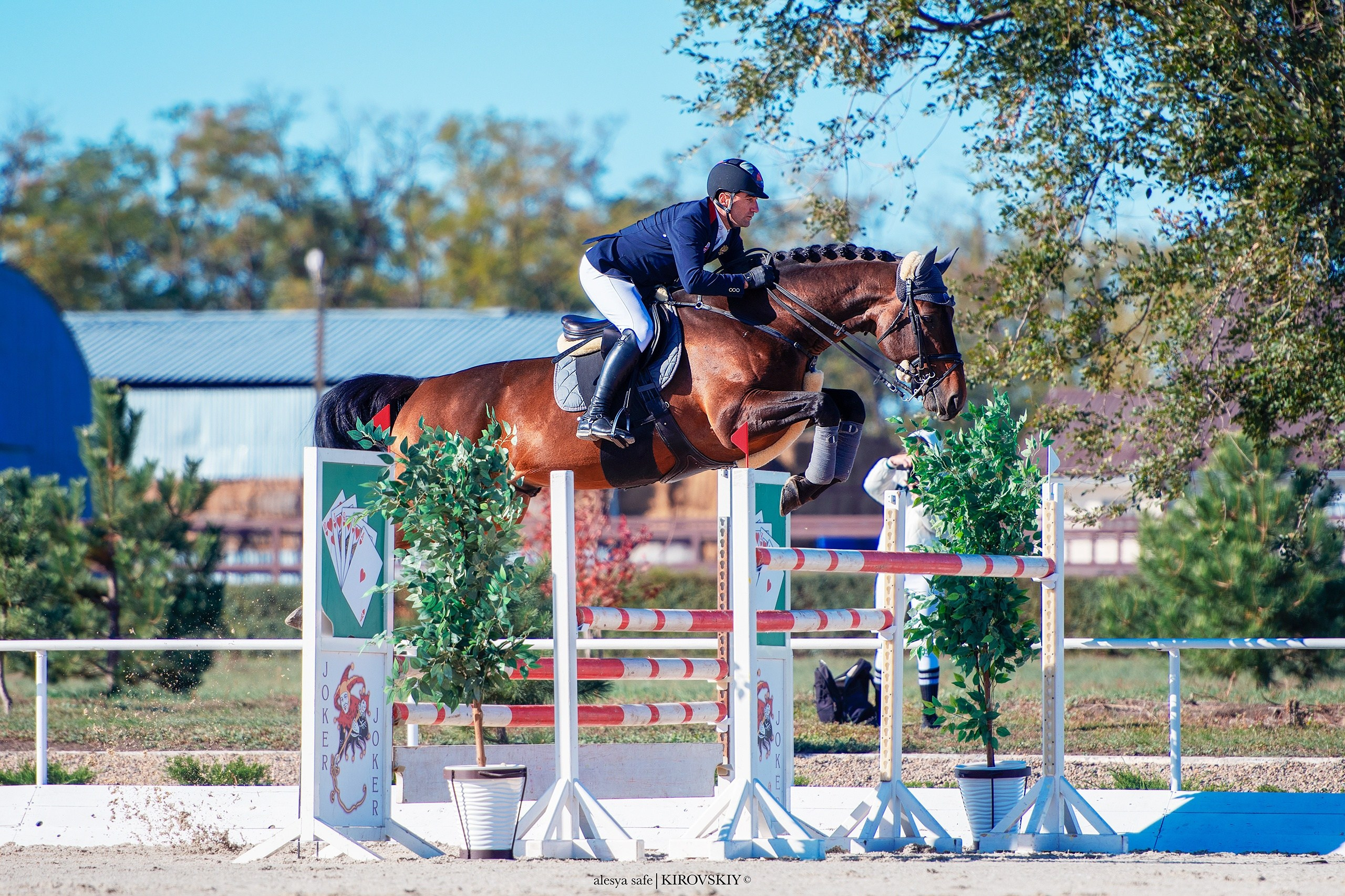 Кировский конный завод. Конный фотограф Alesya Safe