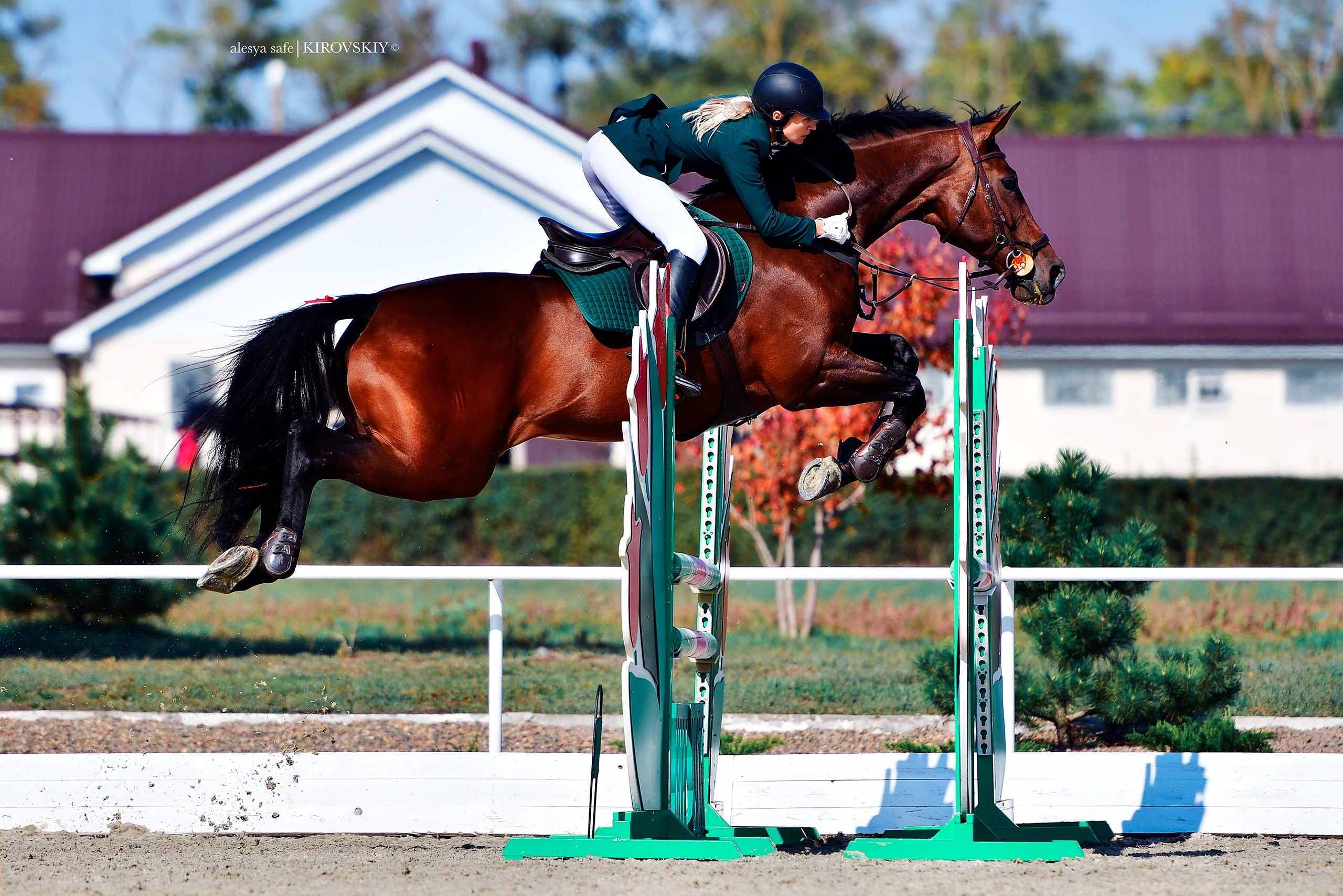 Кировский конный завод. Конный фотограф Alesya Safe