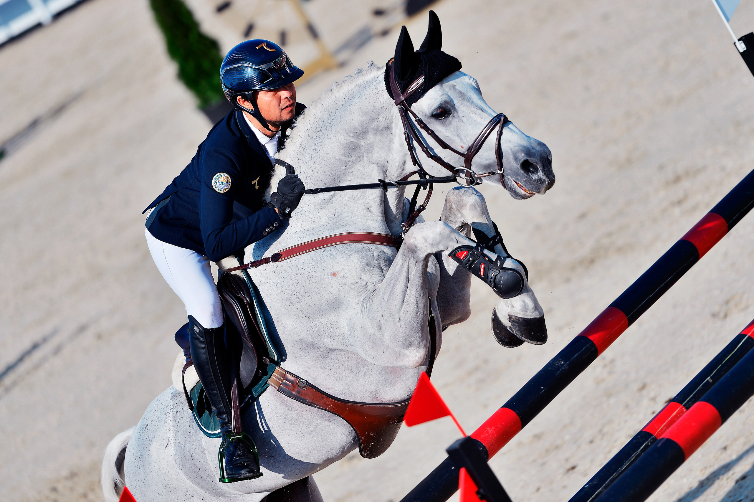 Репортаж Bitriver. Конный фотограф Alesya Safe