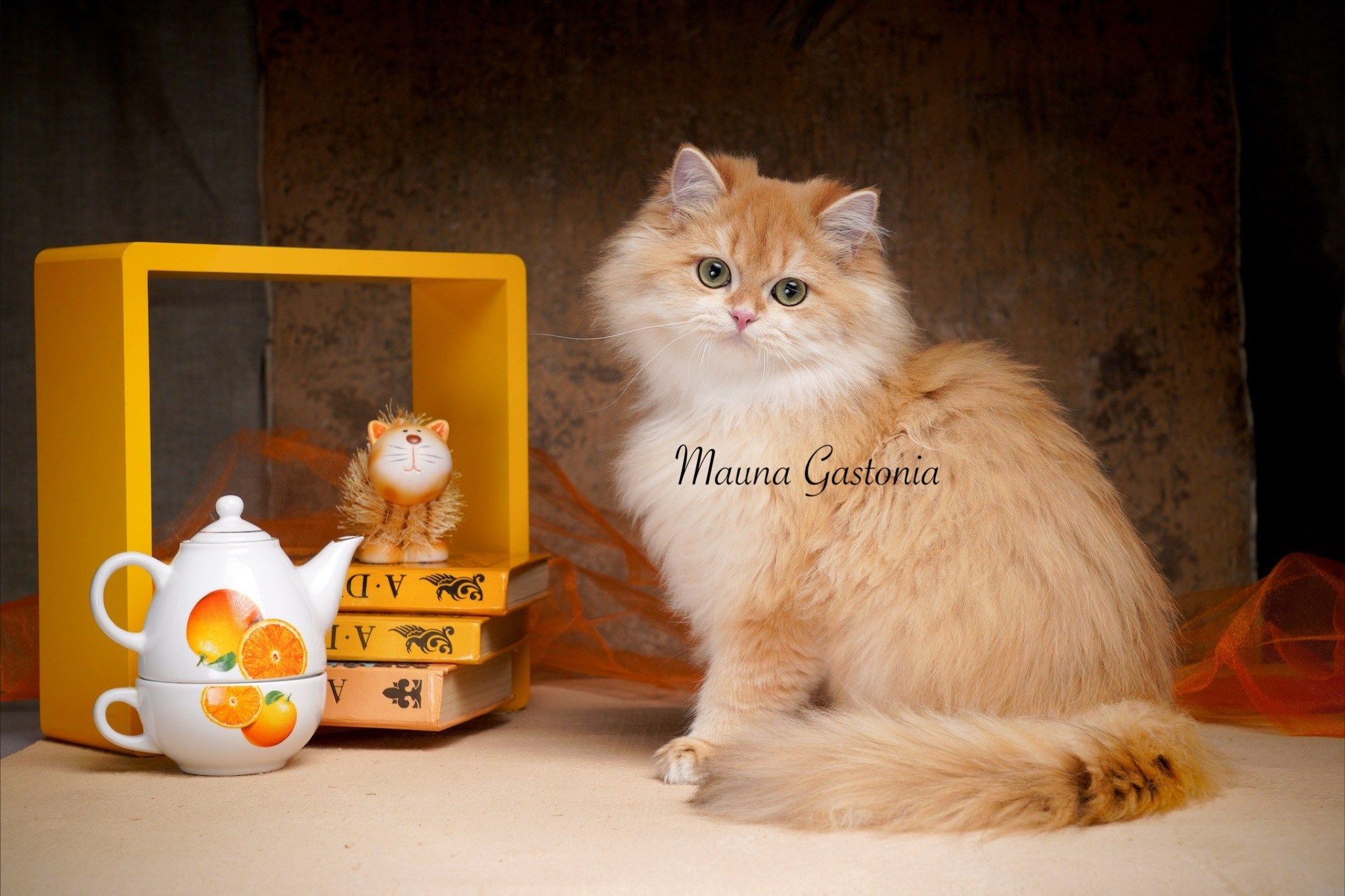 Germes. Mauna Gastonia