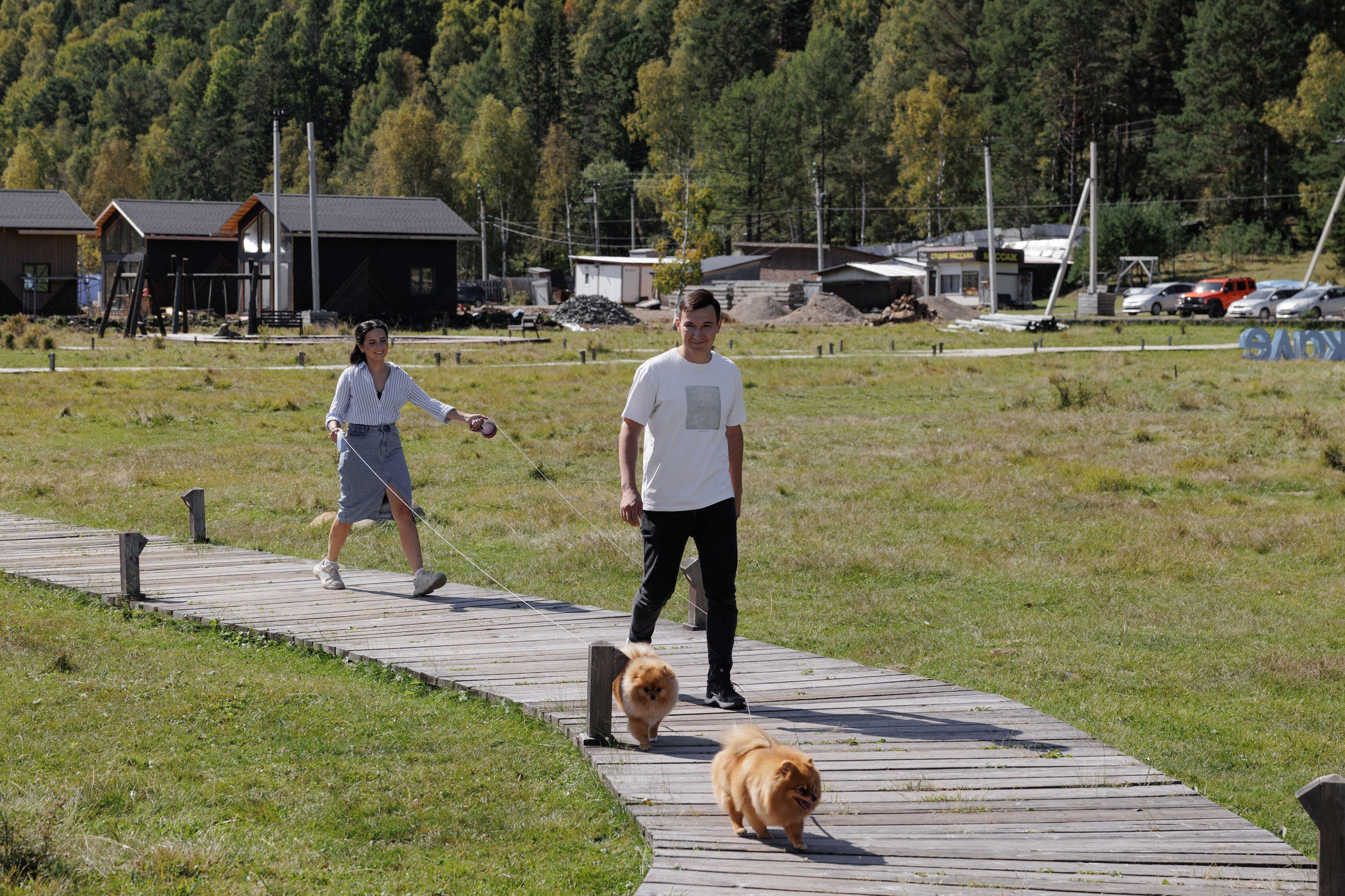 Дмитрий и Алёна. Свадебный фотограф