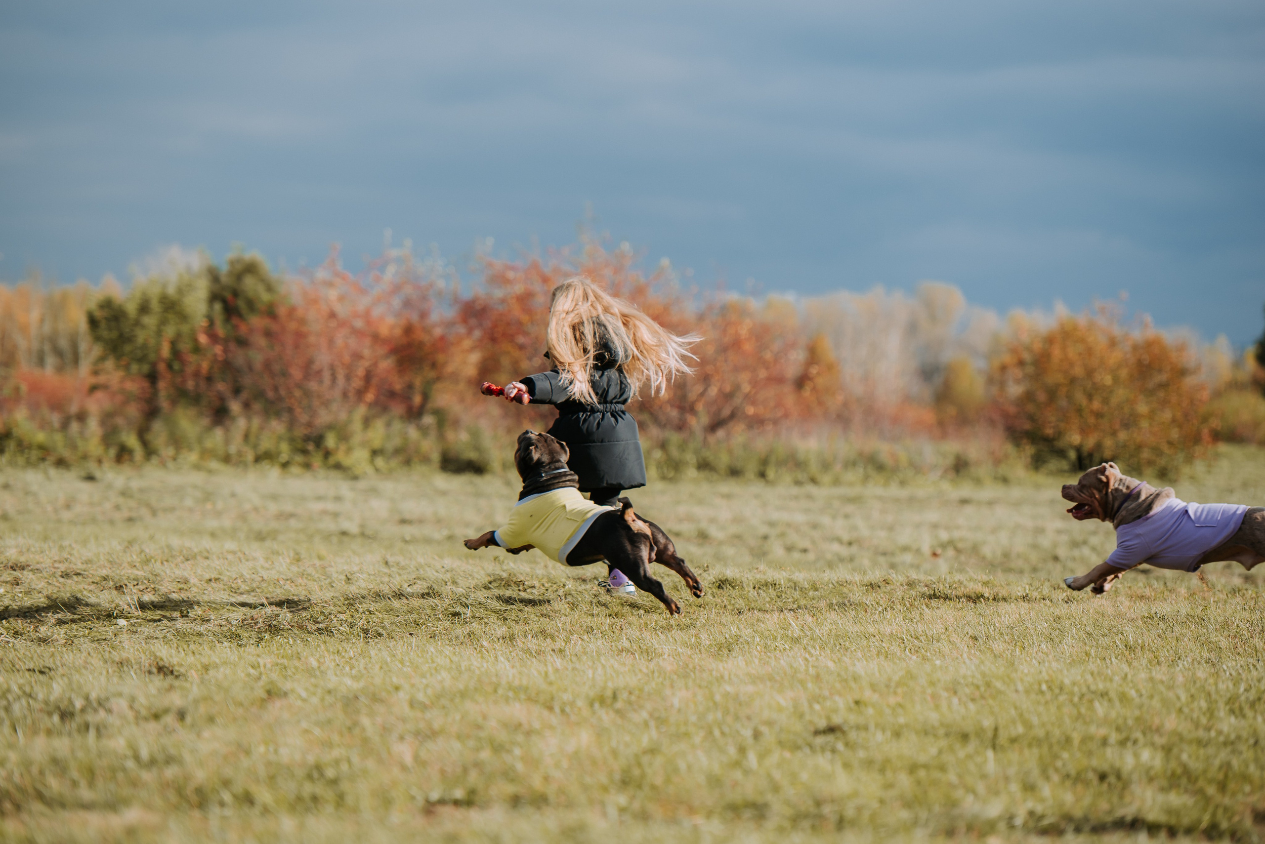Фотопрогулка с питомцами. Фотограф Диана Оленина Красноярск / Братск