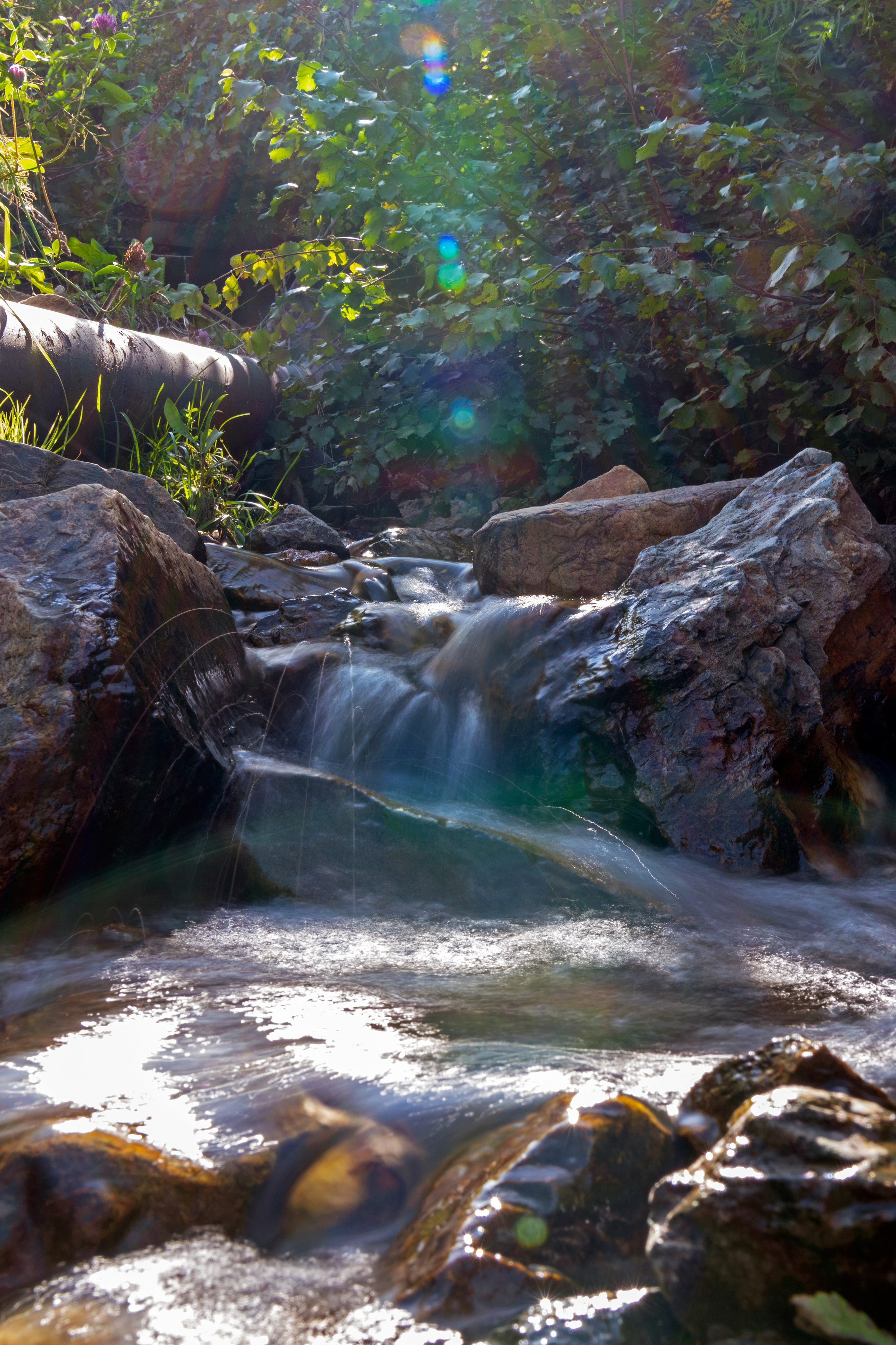 ПРИРОДА. От прошлого к будущему авиации через фотографию