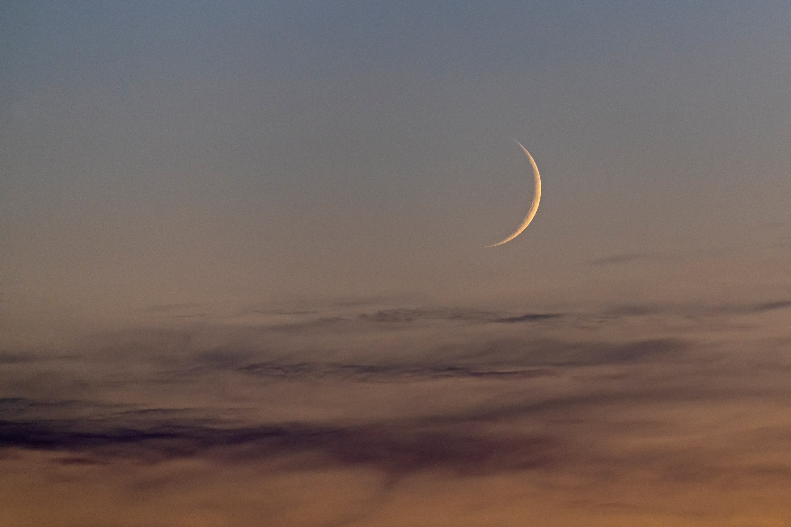 ПРИРОДА. От прошлого к будущему авиации через фотографию