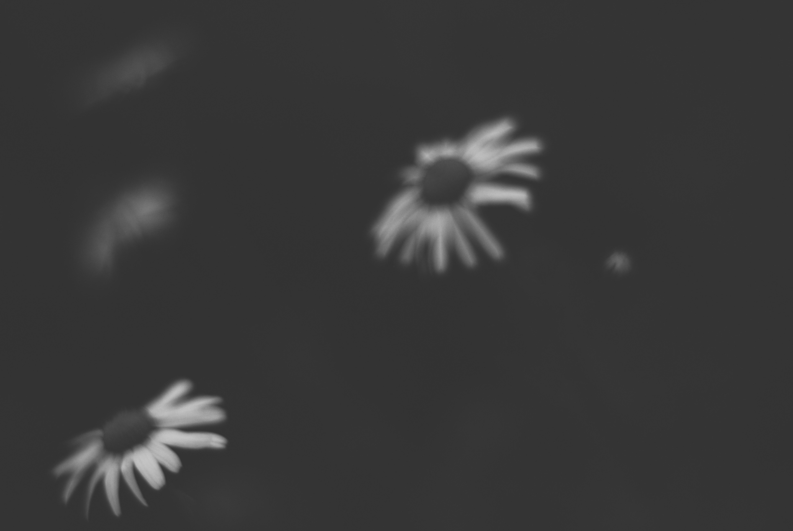 Внутривенные сны (2018-2023)