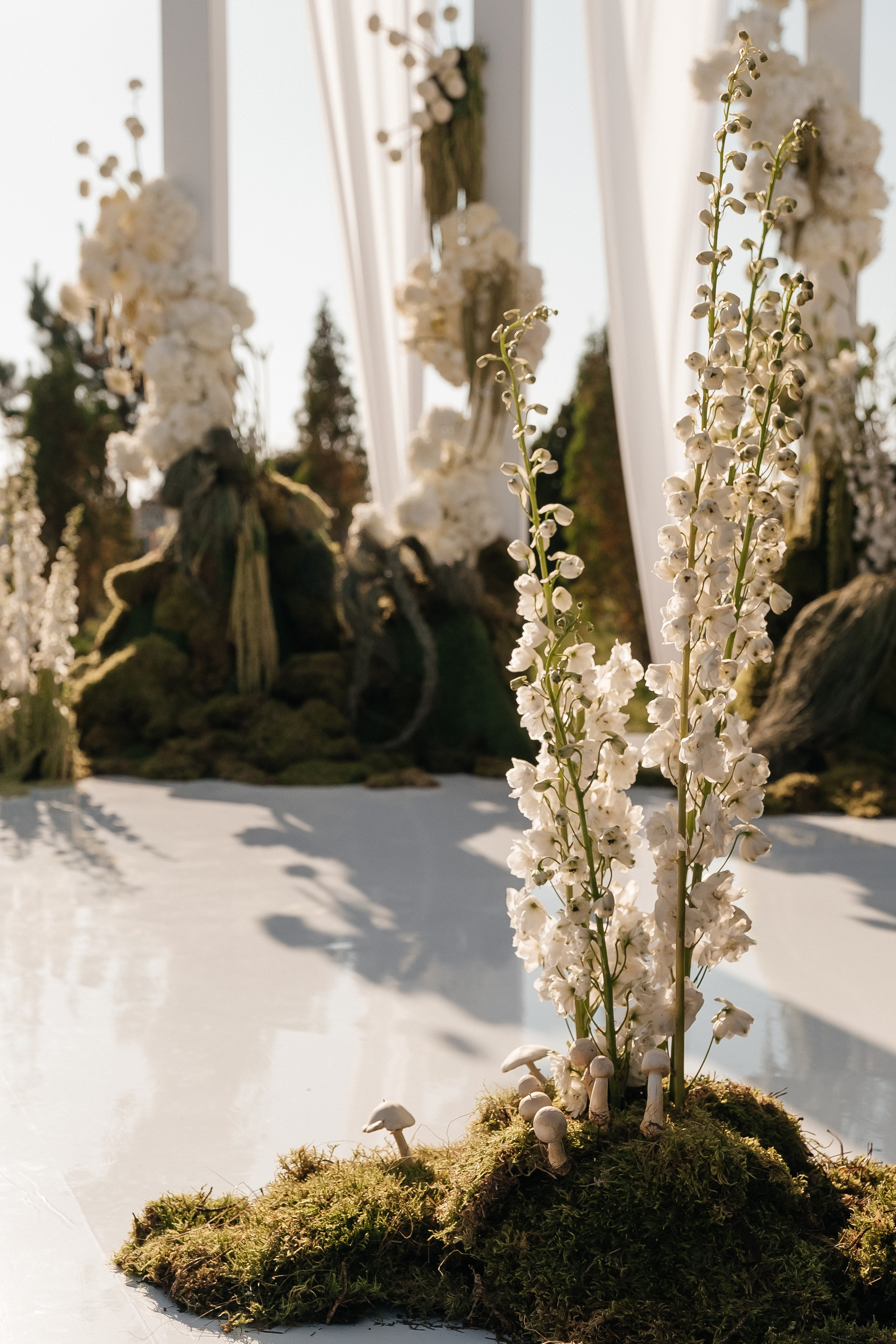 ANONS. Мария — Свадебный фотограф