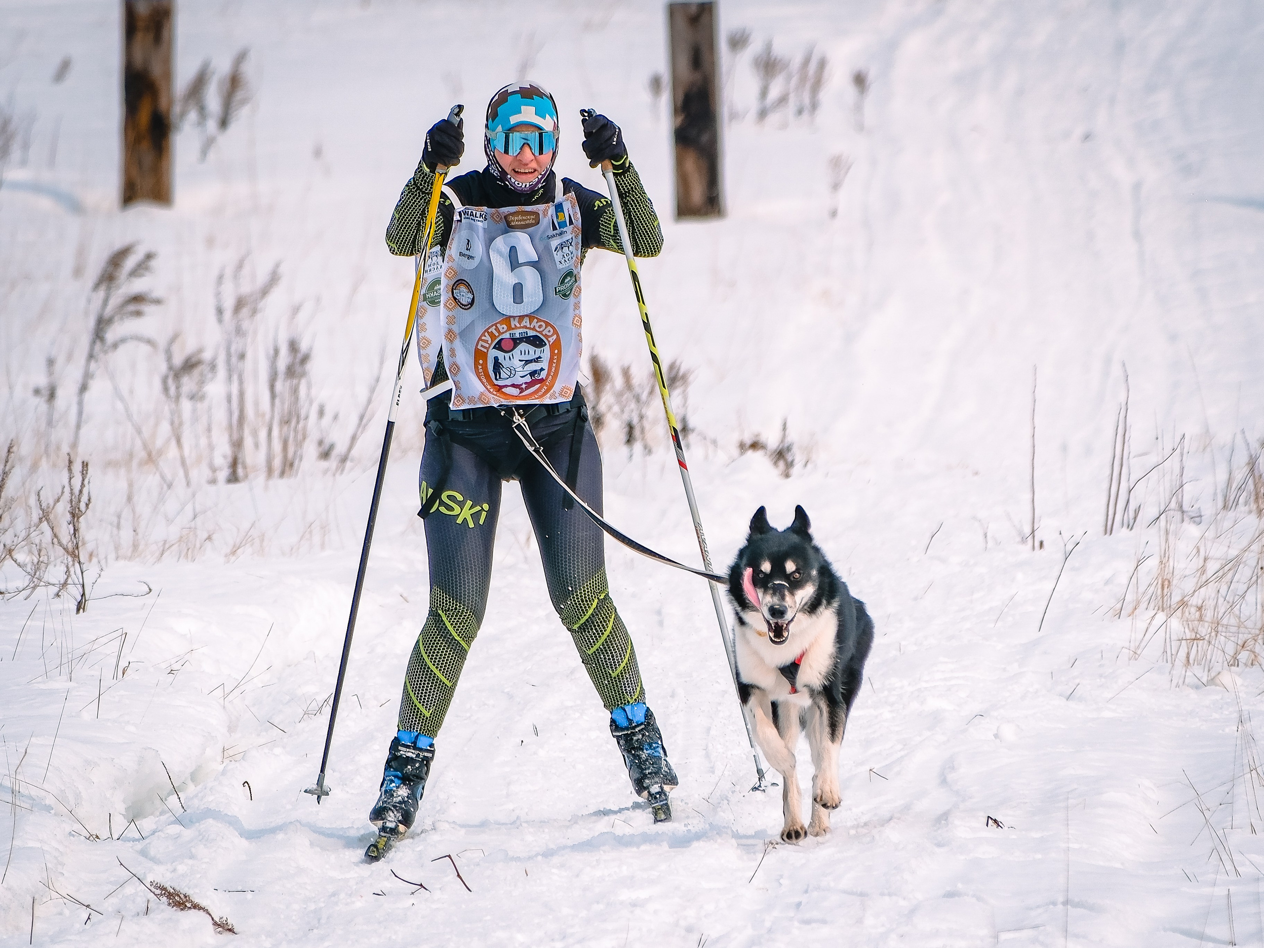 Фестиваль ездового спорта. Фотограф. г. Южно-Сахалинск. Олег Толстов
