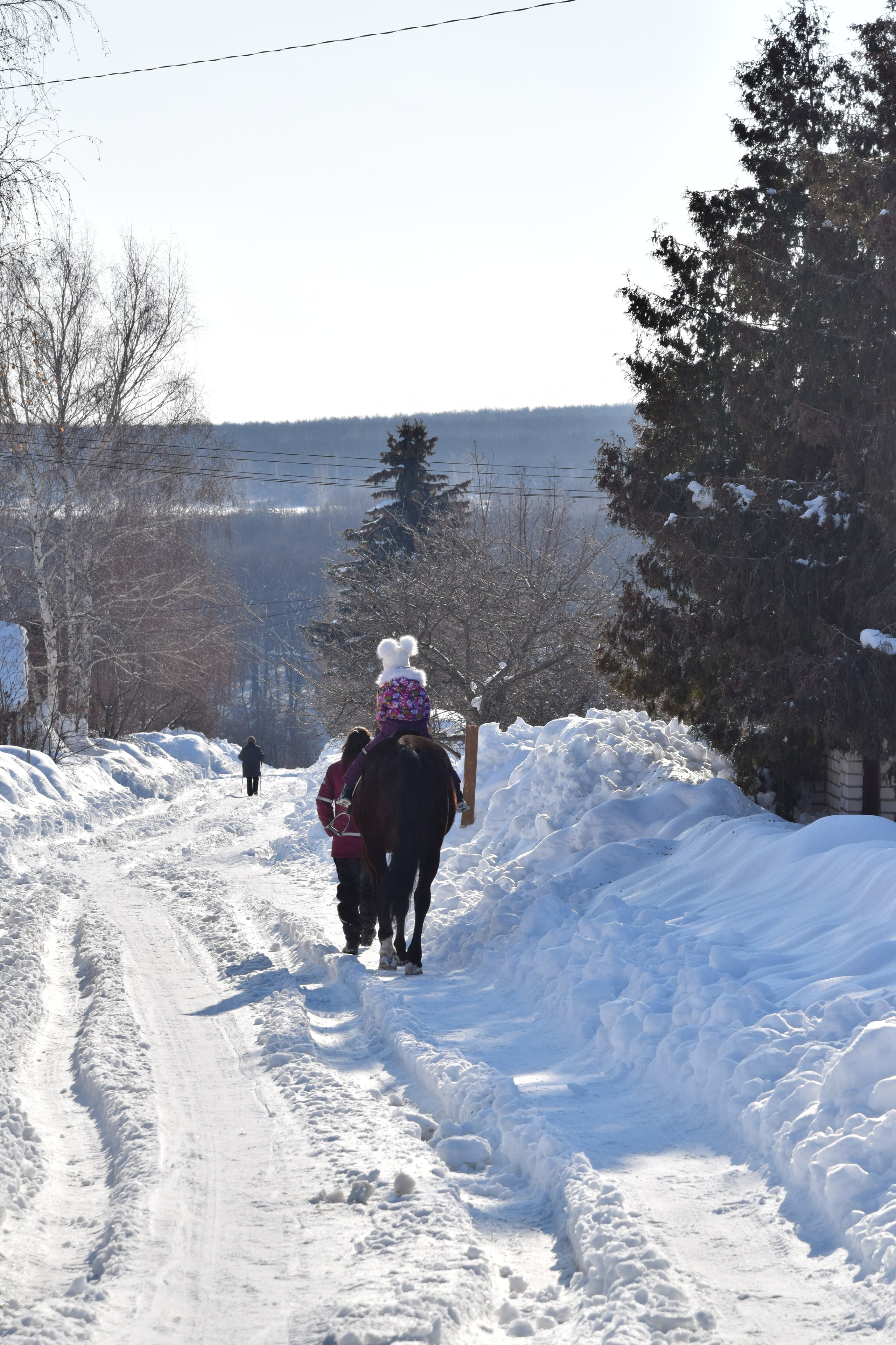Конная прогулка. Конный фотограф в Саратове Юлия Иванова