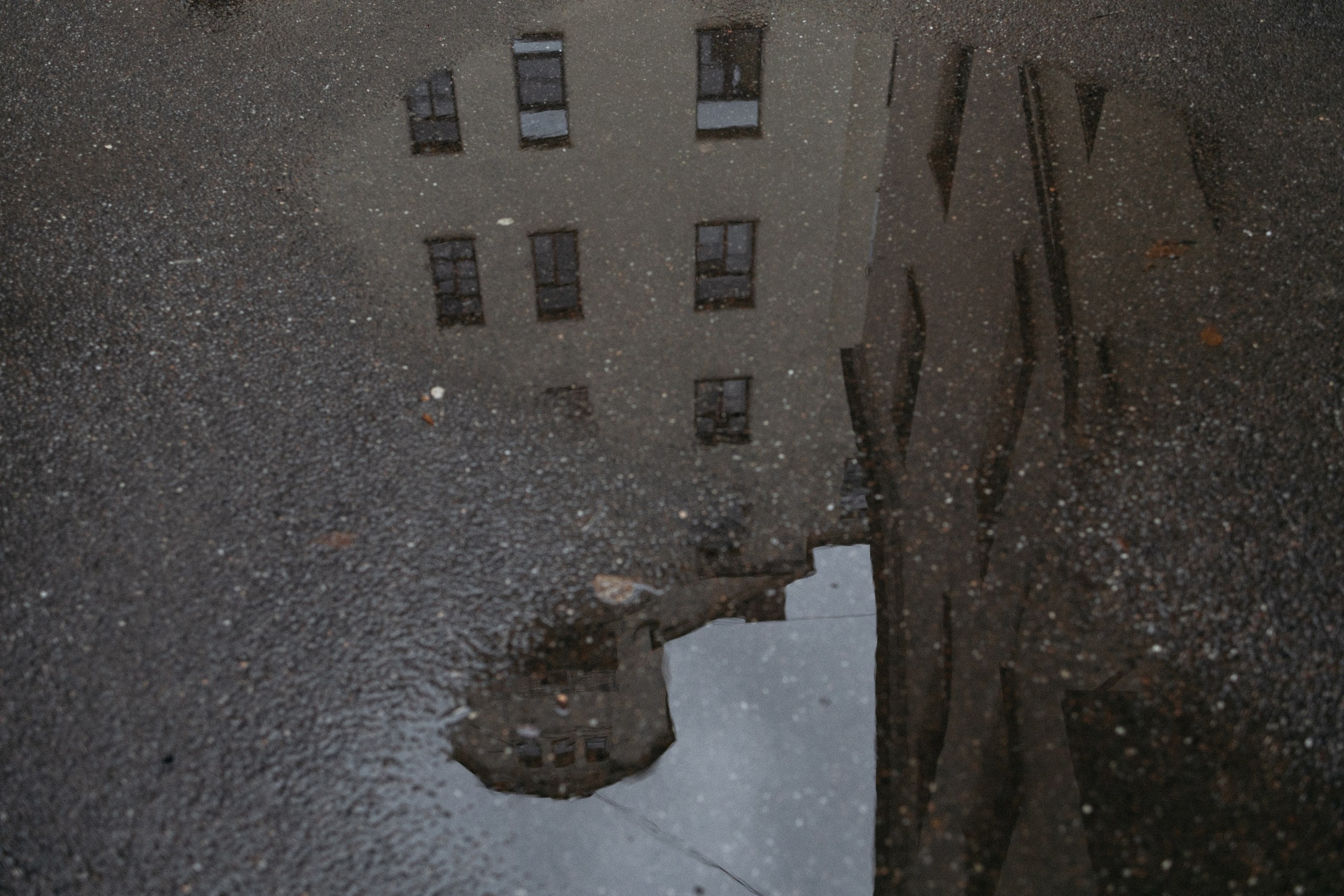 Парная love-story фотосессия. Вера Пьянцева семейный, свадебный и парный фотограф в Санкт-Петербурге