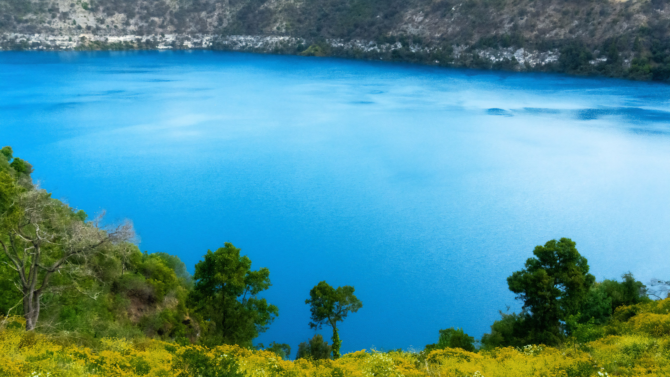 Австралия. Фотограф в Хабаровске. Фотография за 24 часа