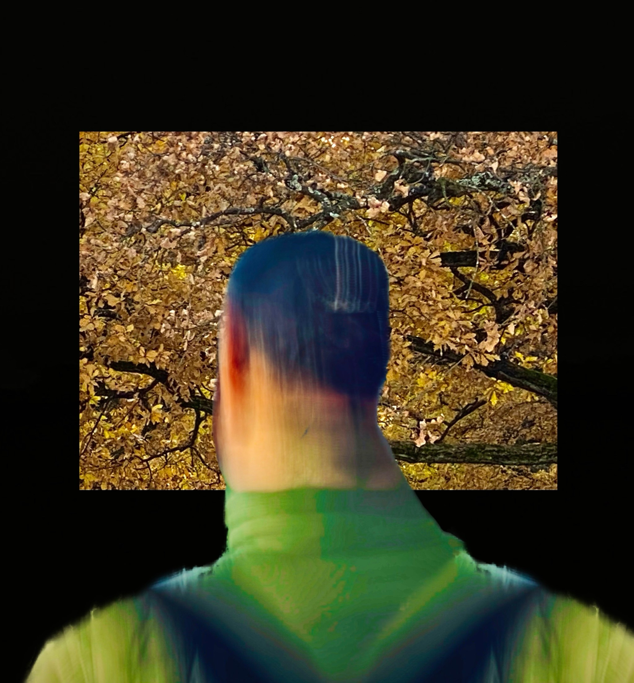 Жорж в музее (2025). Liudmila Bogdanova Photography | Mila Dozhd