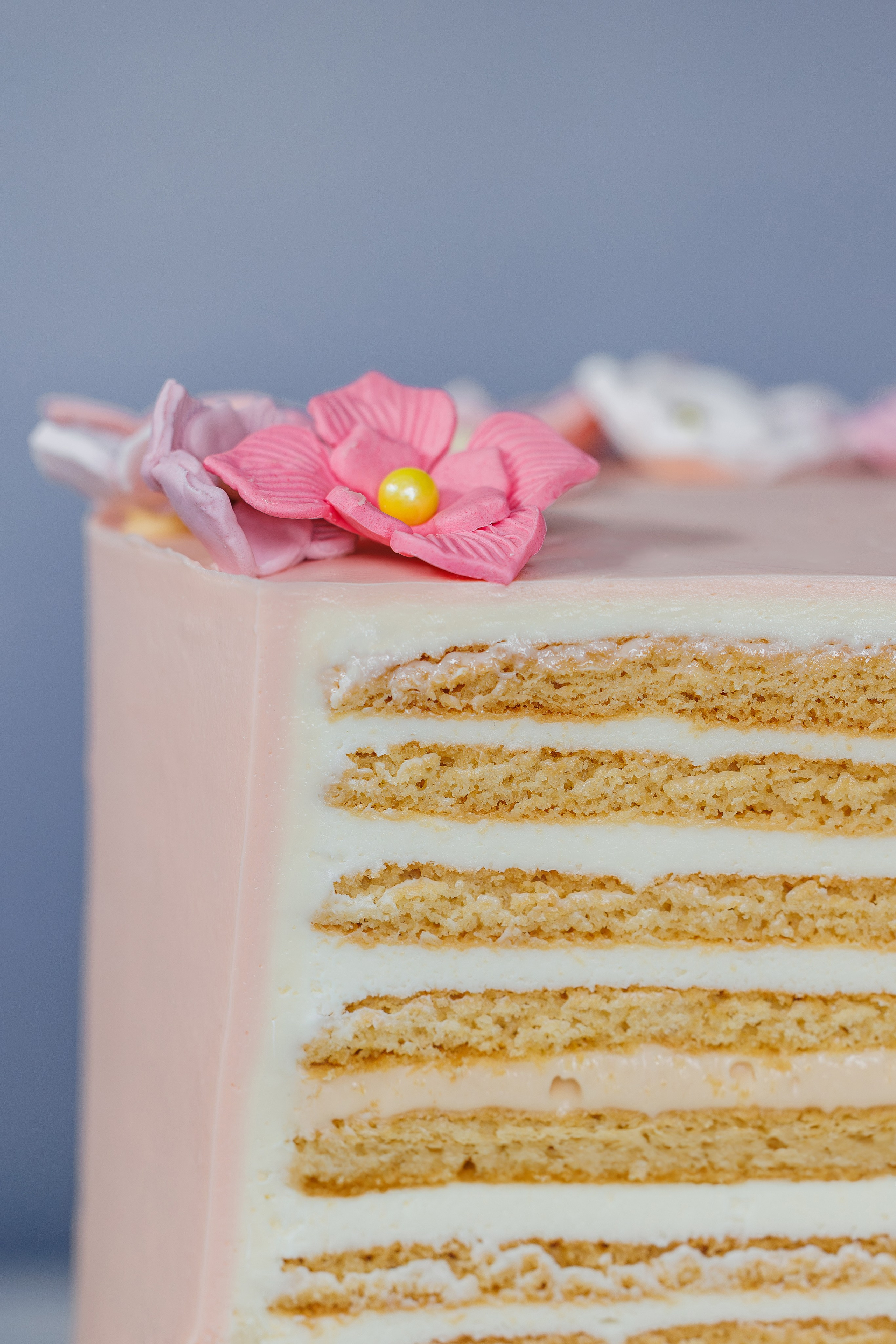 Торты. Фотосъёмка для бизнеса — предметное фото, репортаж с мероприятий, портреты людей, съёмка интерьера и экстерьера