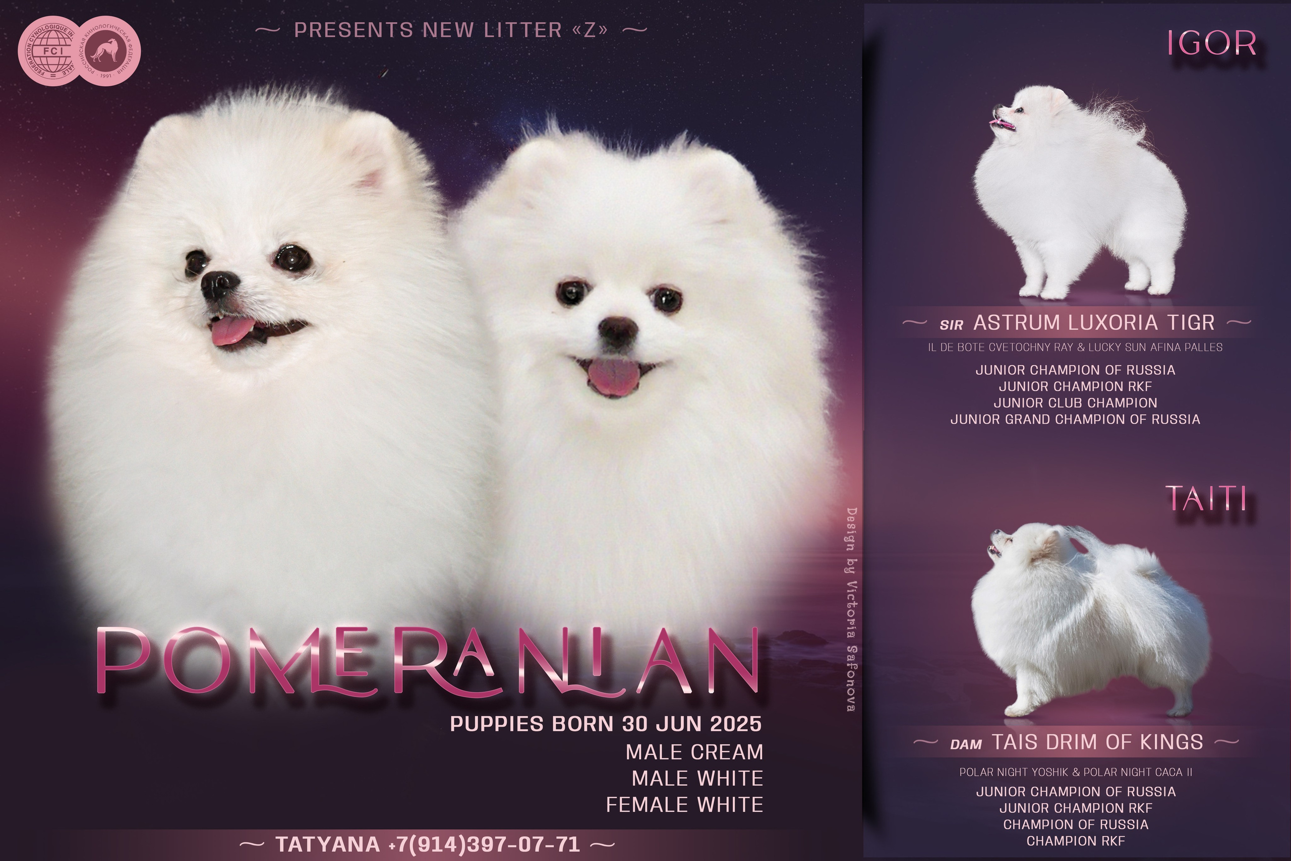 Анонсы помётов. Фотограф анималист Благовещенск. Сафонова Виктория