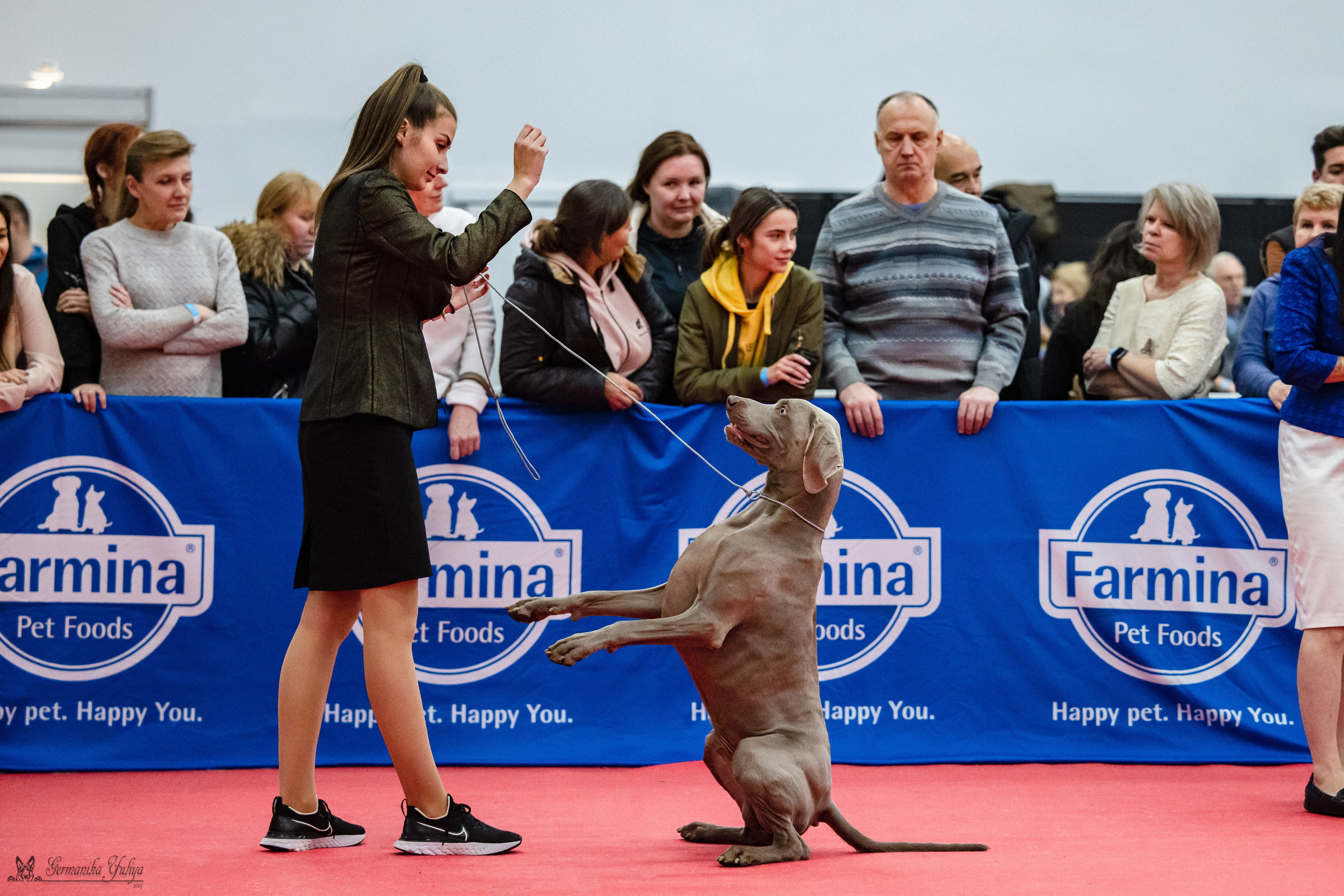 Нижний Новгород 21-22.10.2023. Фотограф-анималист Юлия Германика