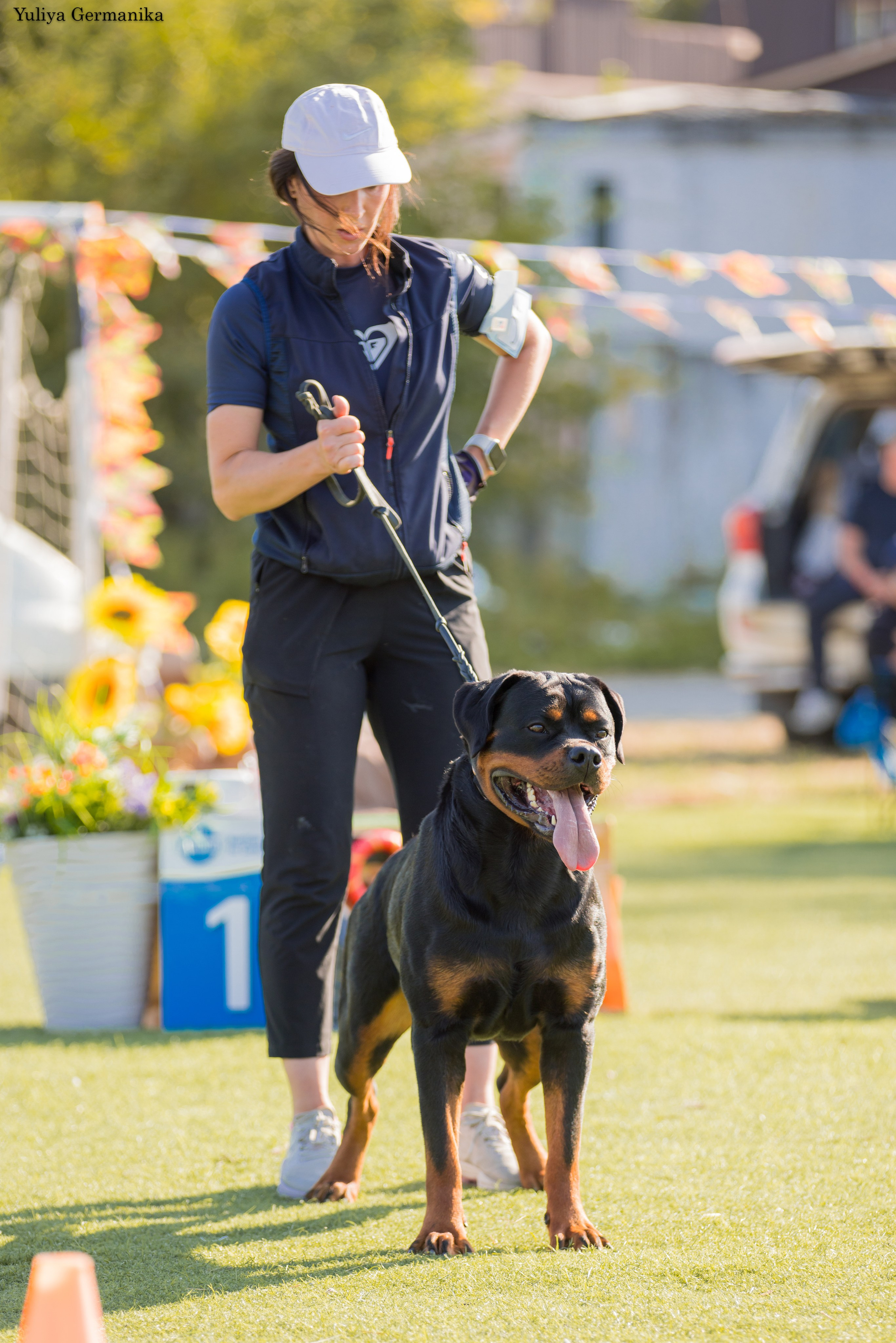 Анапа 16-17.09.2023 моно ротвейлеров. Фотограф-анималист Юлия Германика