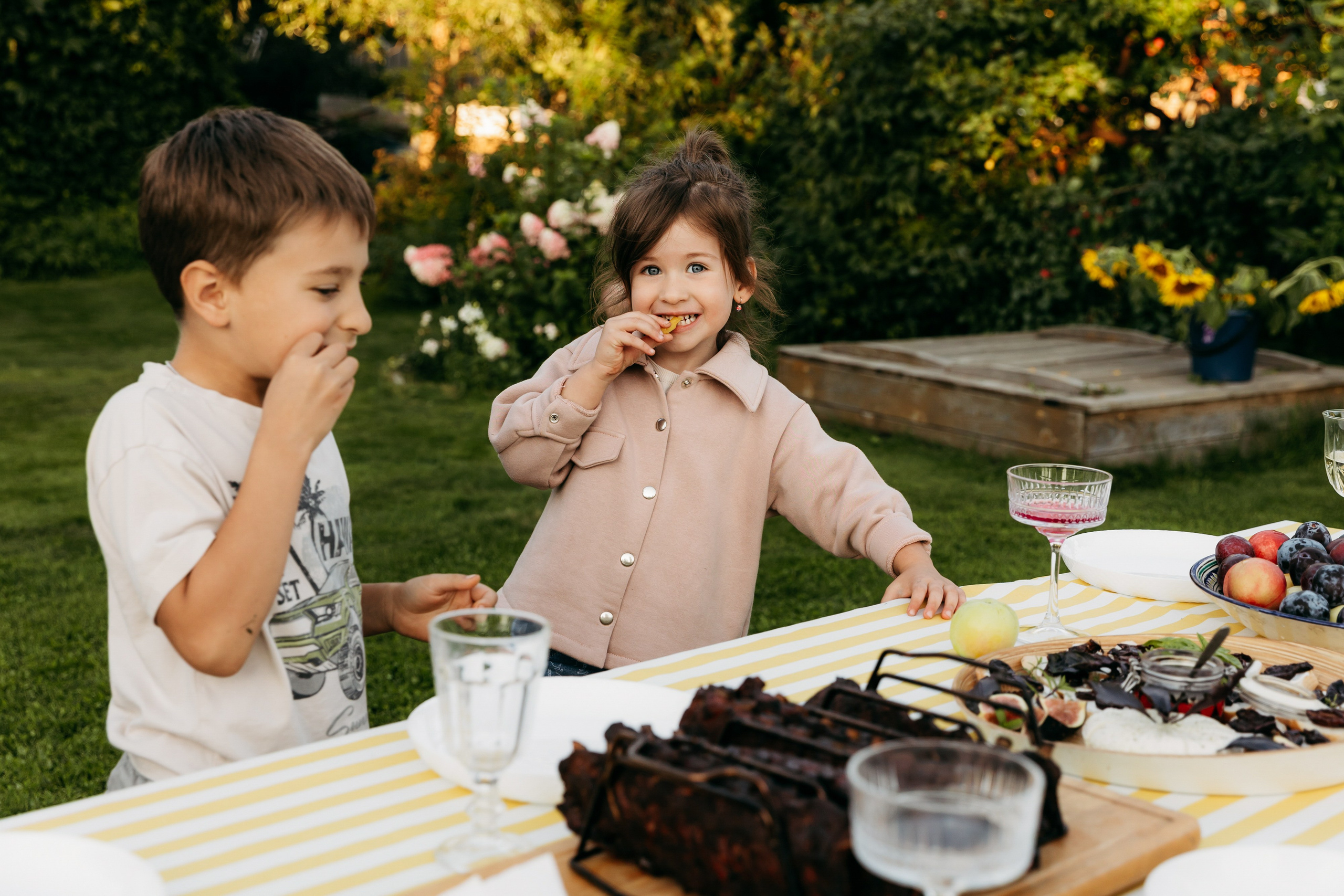 Большая дачная история. Главная