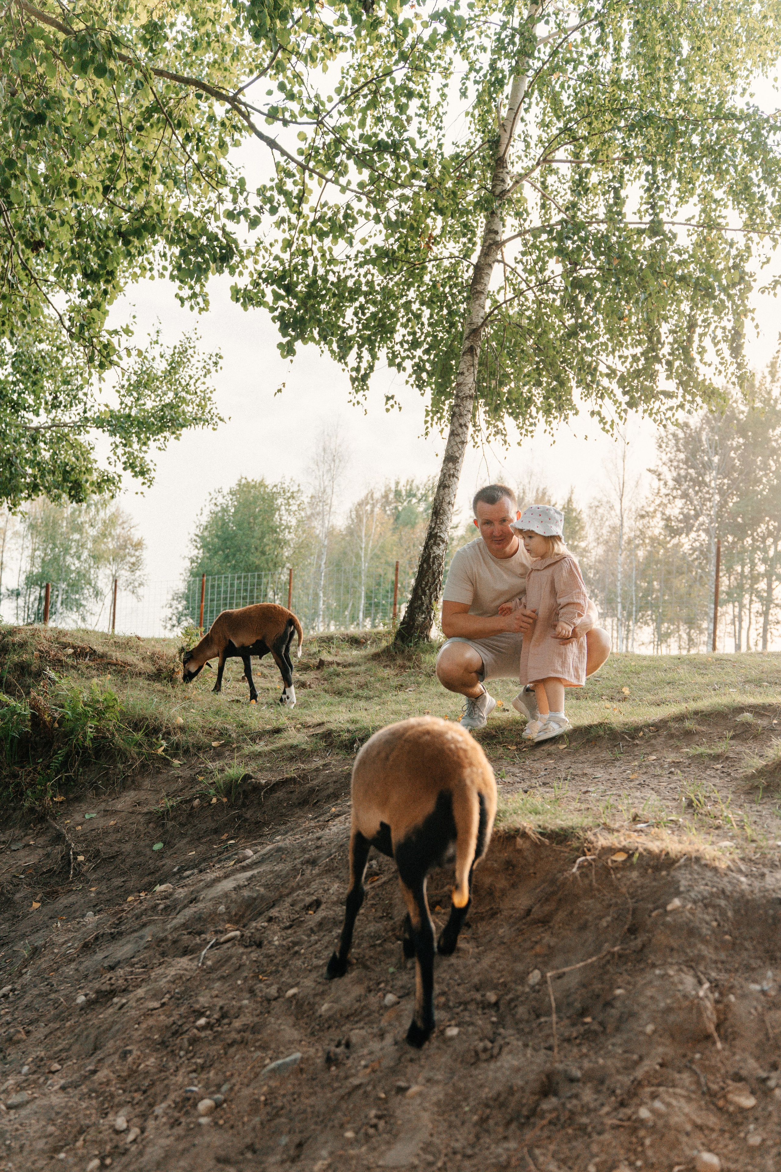Диприз — в мире диких животных. Ваш семейный фотограф в Минске — Вика Трегубова