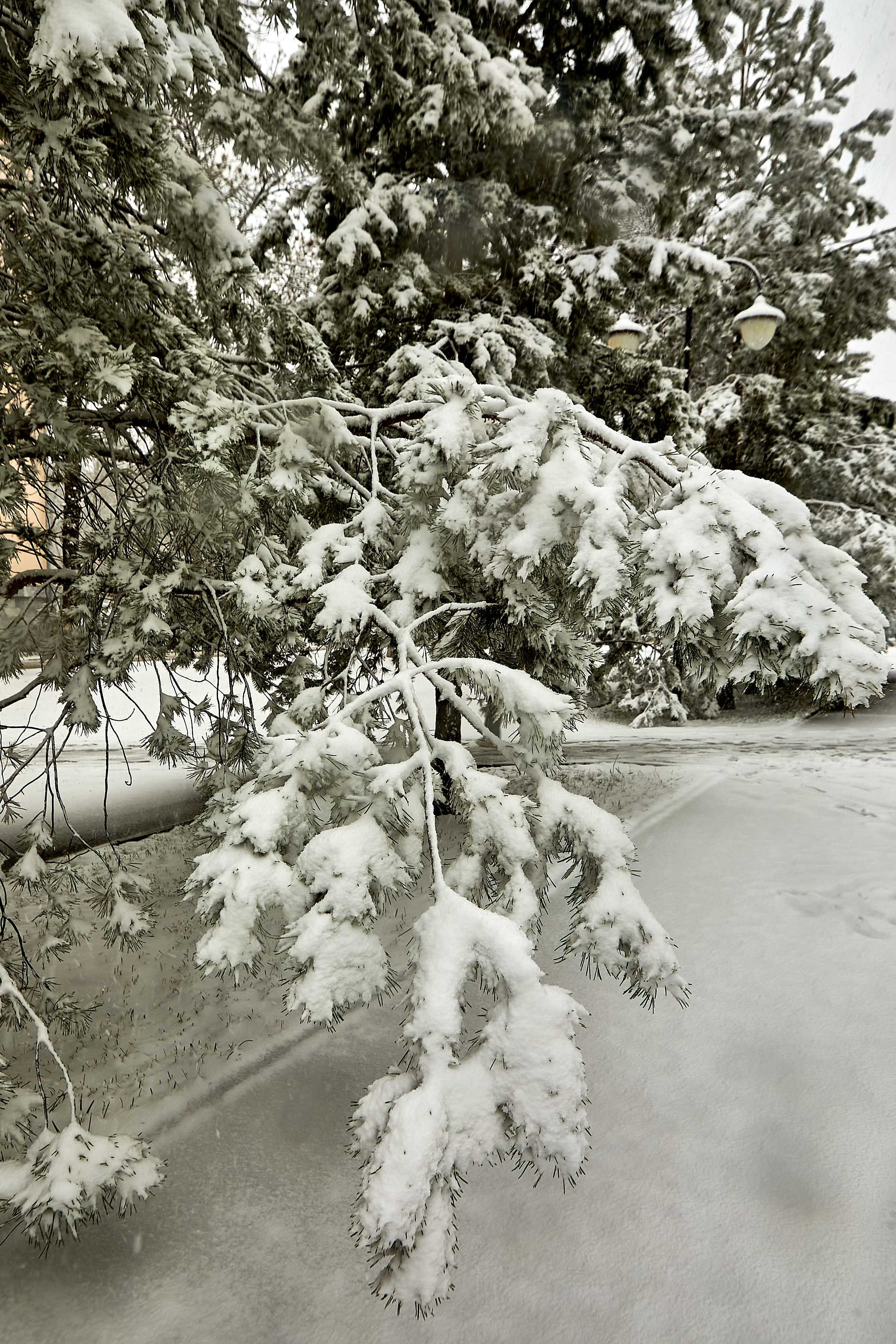 Видовые фото УГНТУ. УГНТУ — Ведущий нефтегазовый вуз России