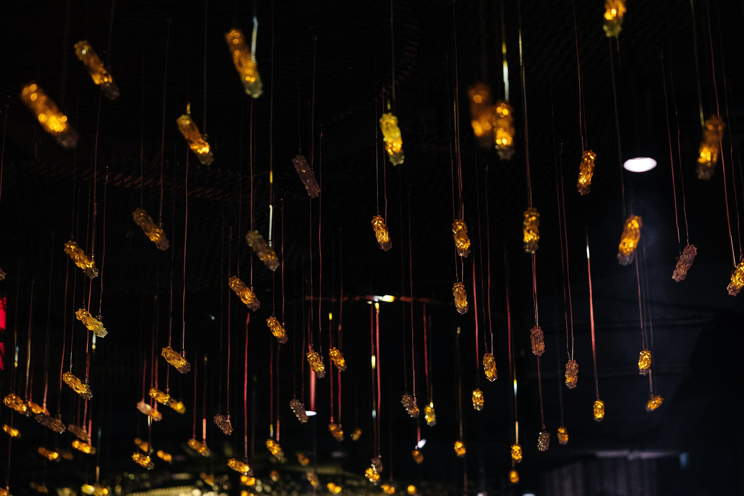 Ростов на Дону Maison 05 03 2025. Свадебный фотограф в Ростове-на-Дону Васильченко Сергей