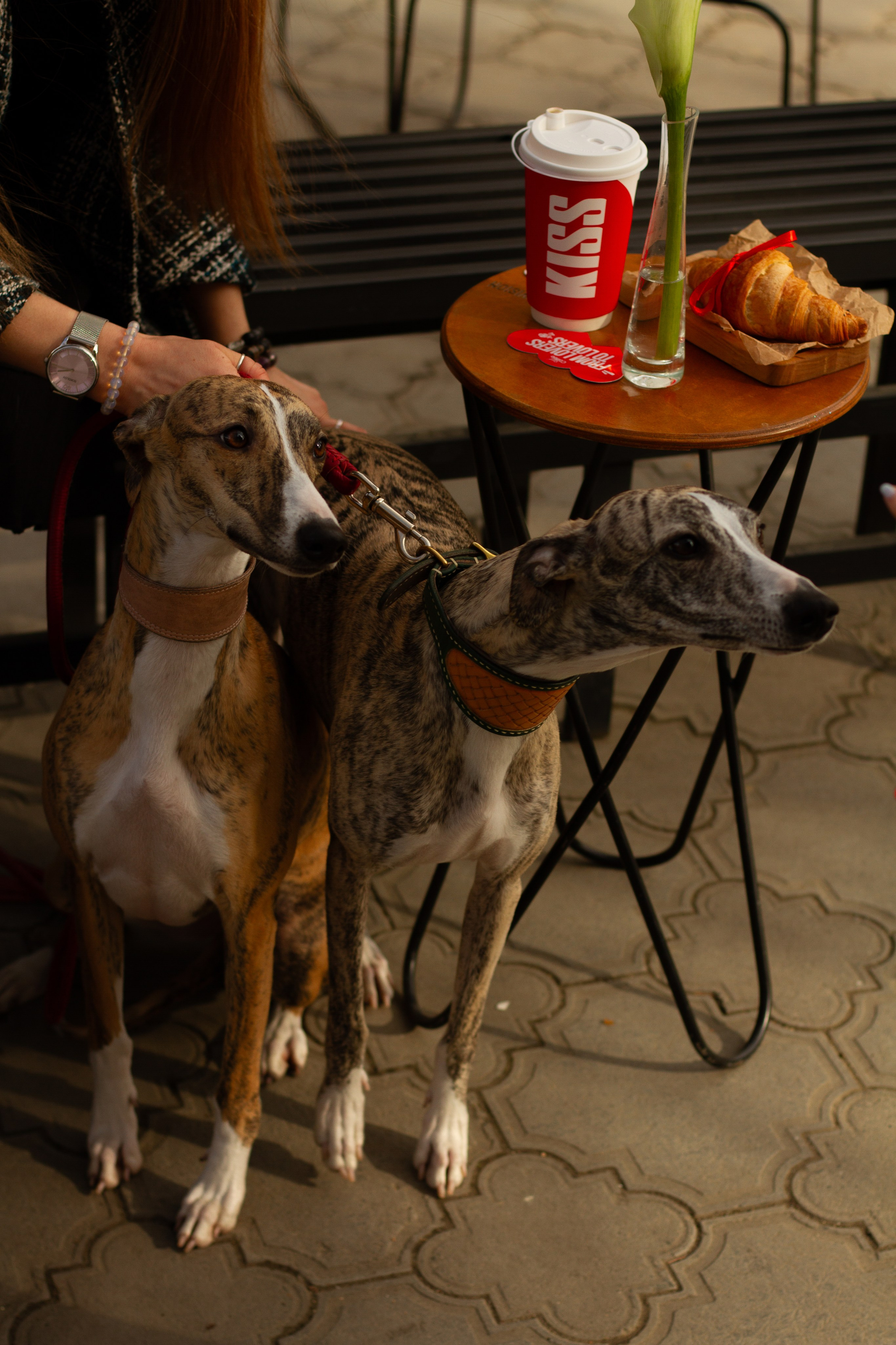 Уличные съемки. Семейный фотограф, женский портрет в Ставрополе