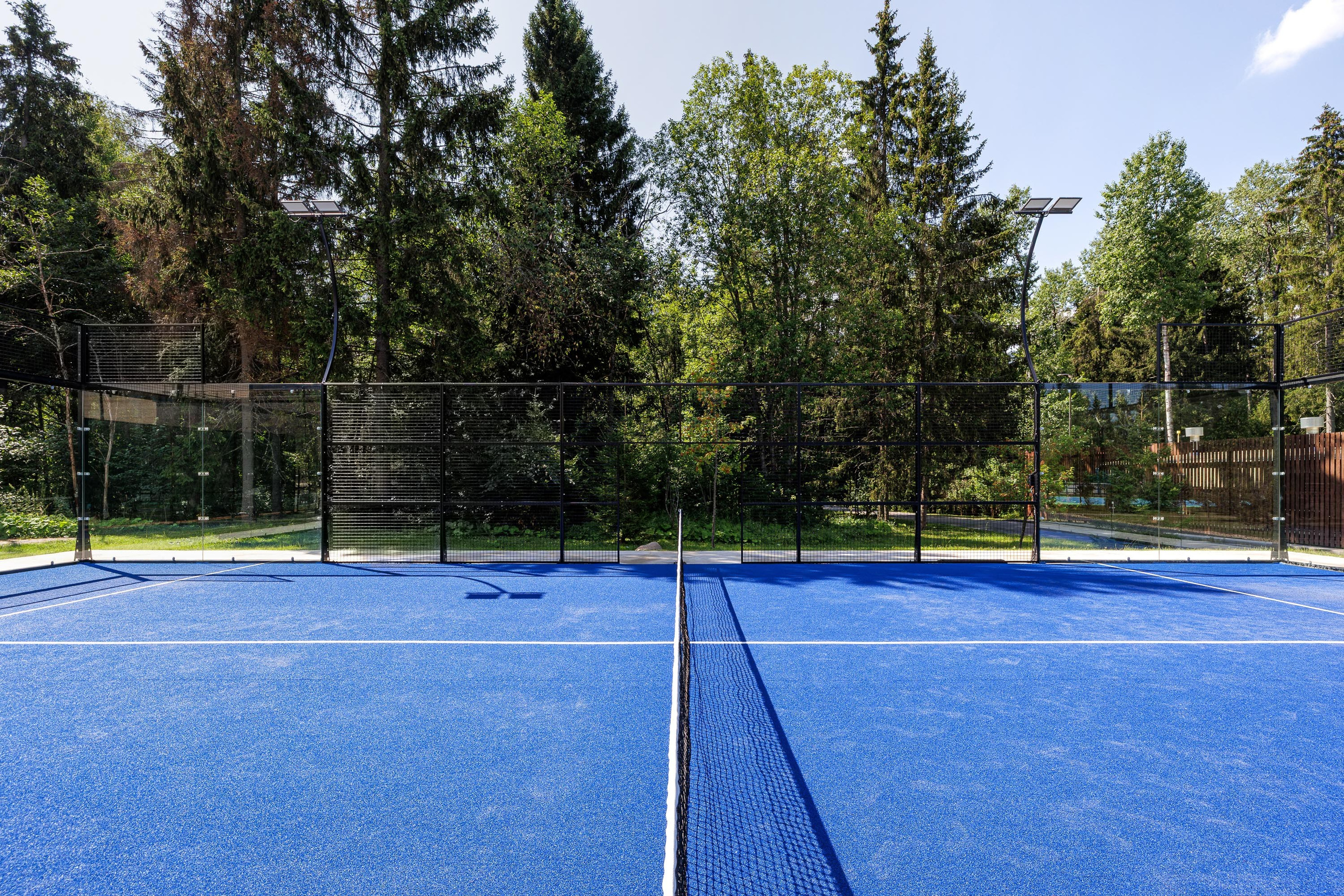 Cosmos Collection Izumrudny Les