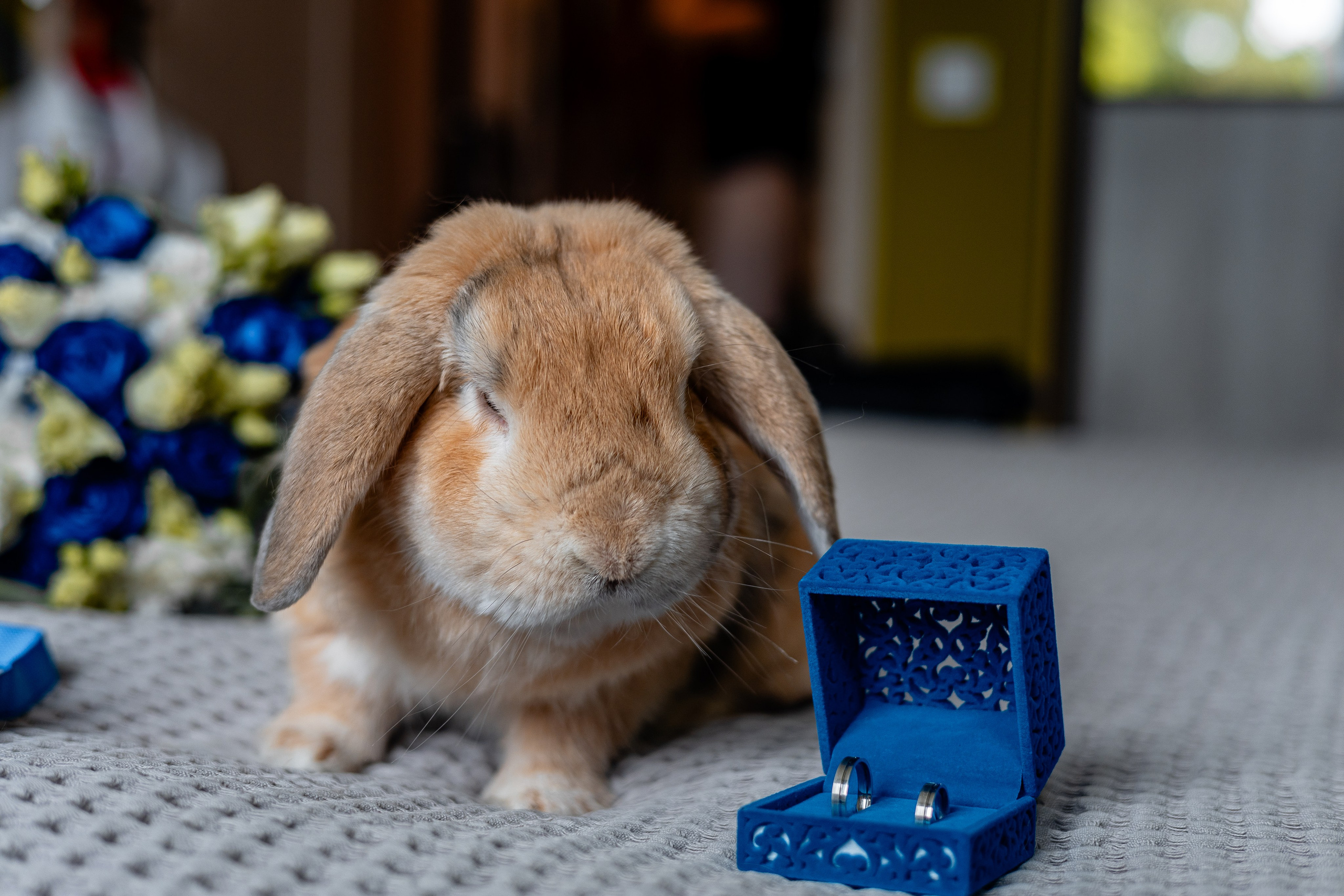 Николай и Ольга | Черняховск, Понарт, замок Инстербург. Фотограф Елена Медок Калининград