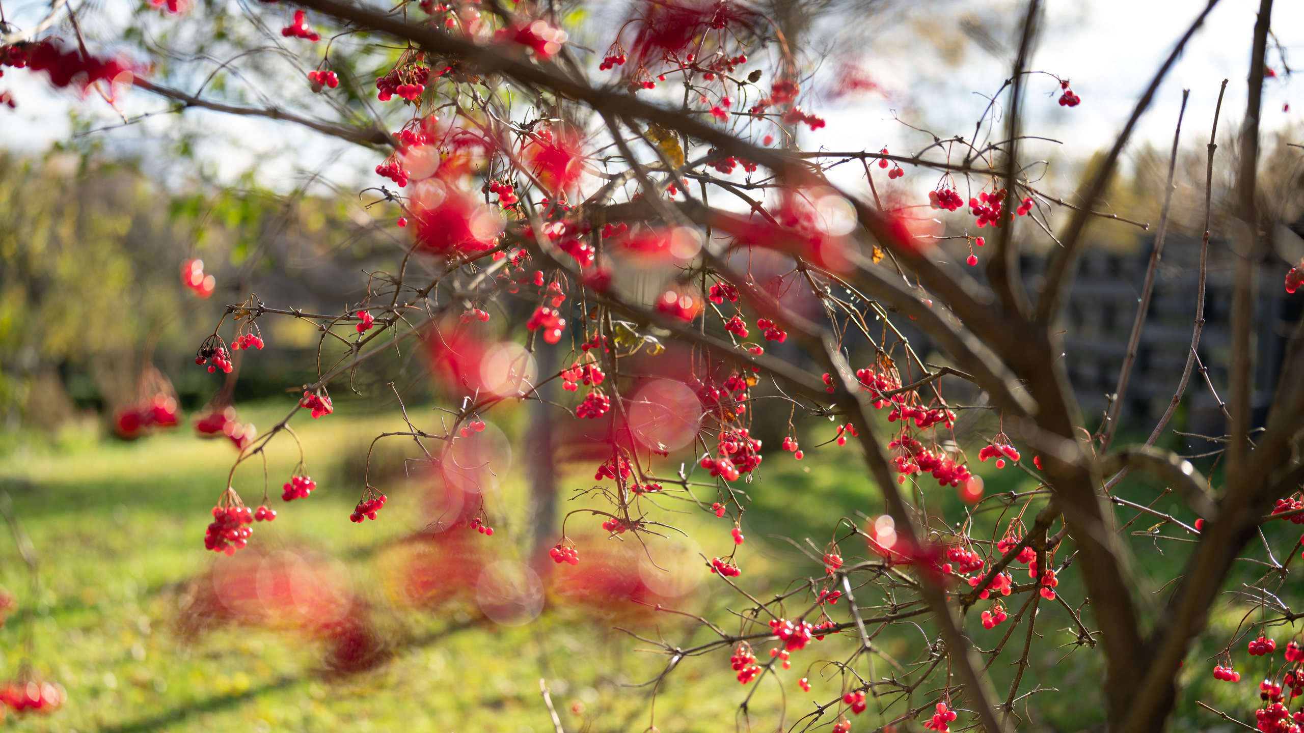 Дача. ПОБУДЬ ЗДЕСЬ И ЦЕЛЕЕ БУДЕТ ЭТОТ МИР