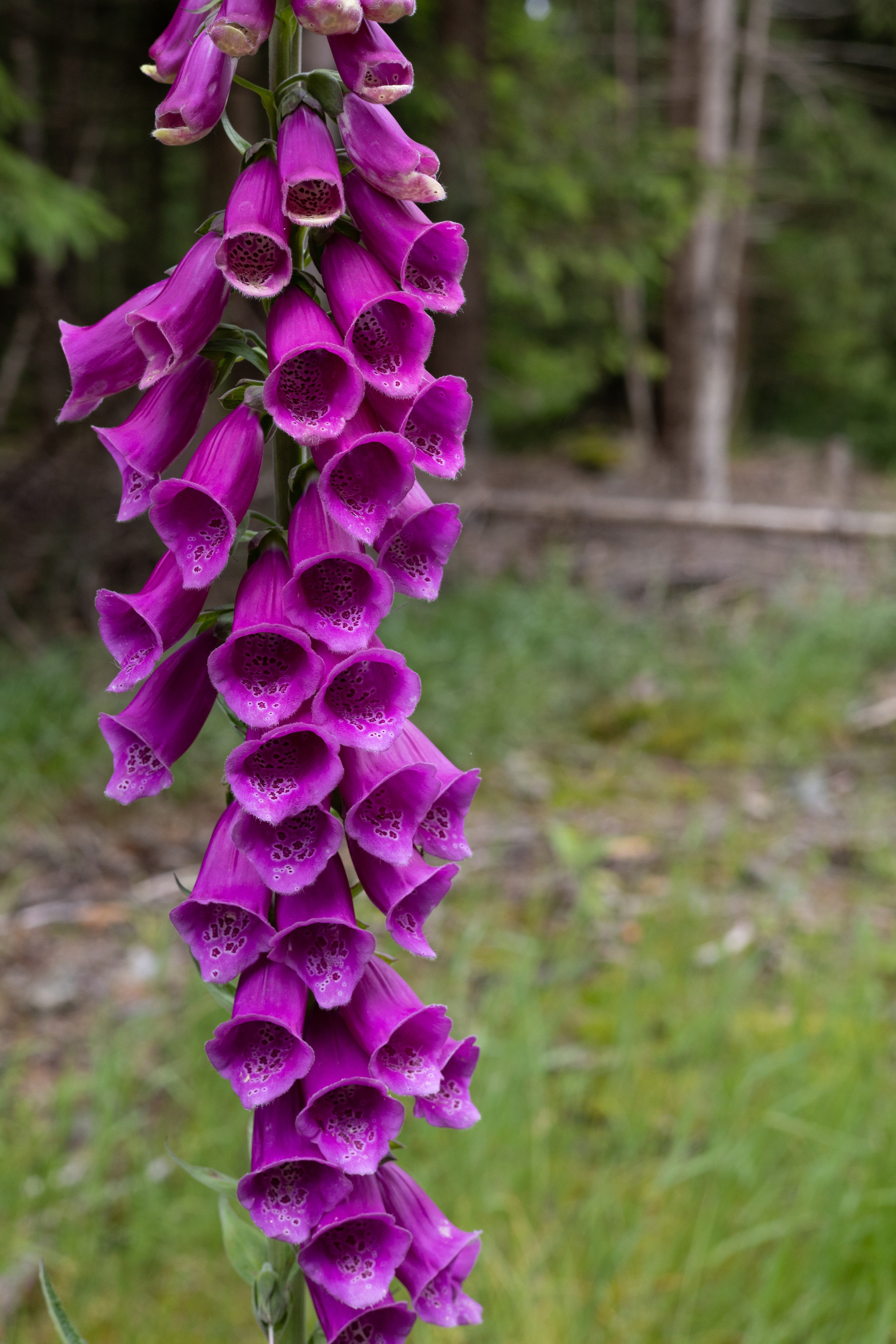 Bischofsgrün. ITMAG.ME | Visual Art