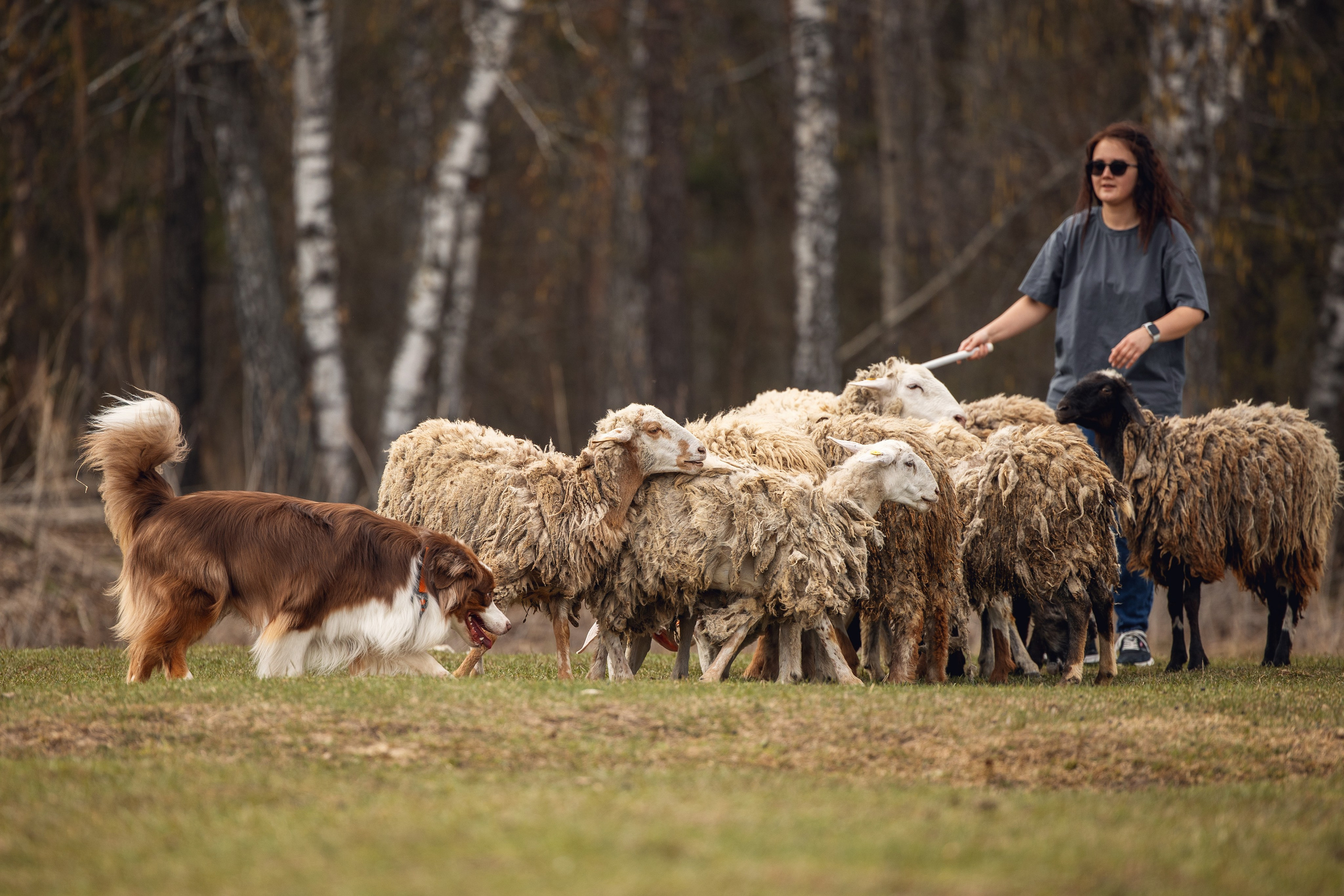 Анна и Вуди. YULA KOLESOVA | Фотограф — Анималист | Художник | Тюмень