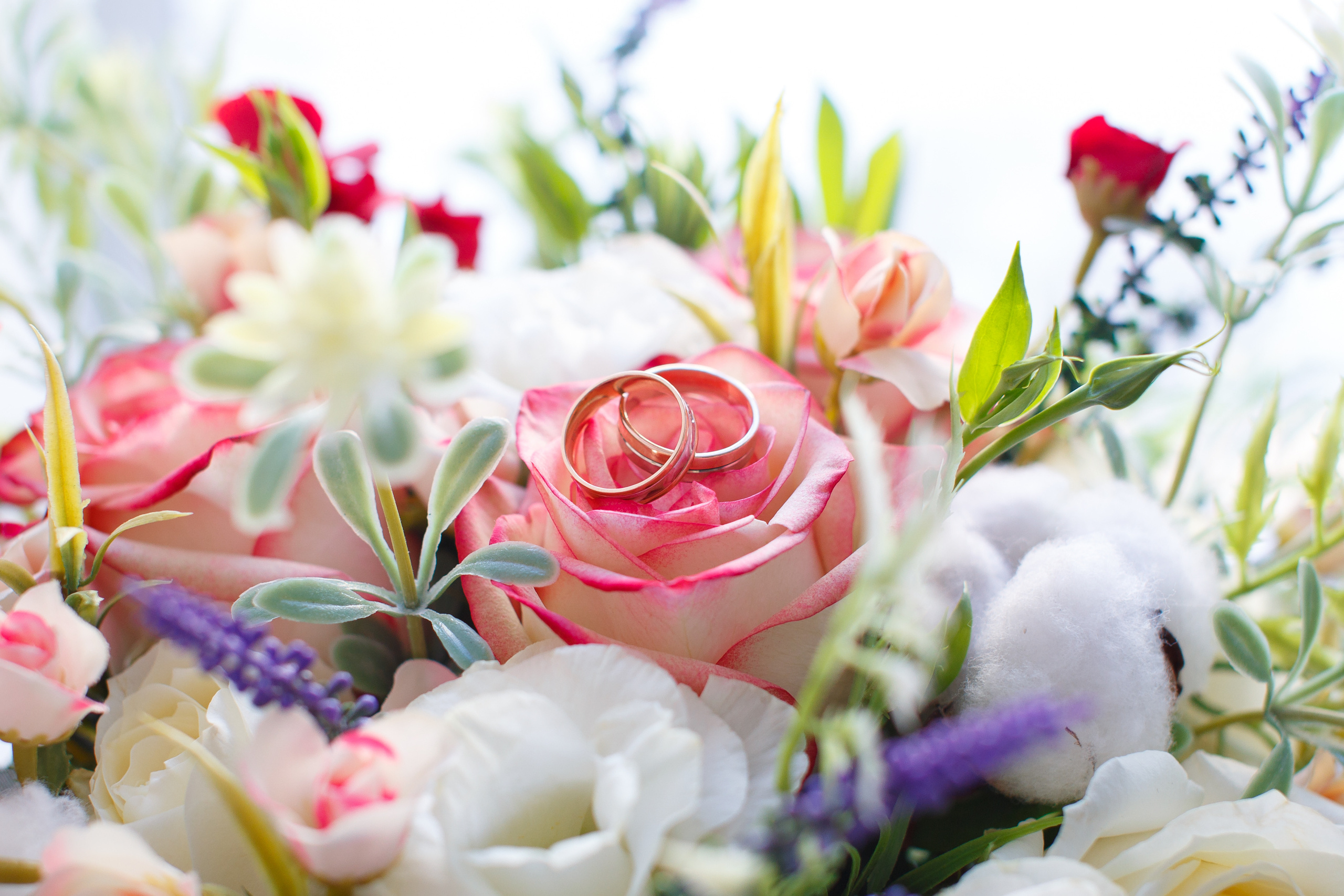 Свадебная фотосессия в Ярославле. Свадебный и семейный фотограф в Ярославле Александр Лобков