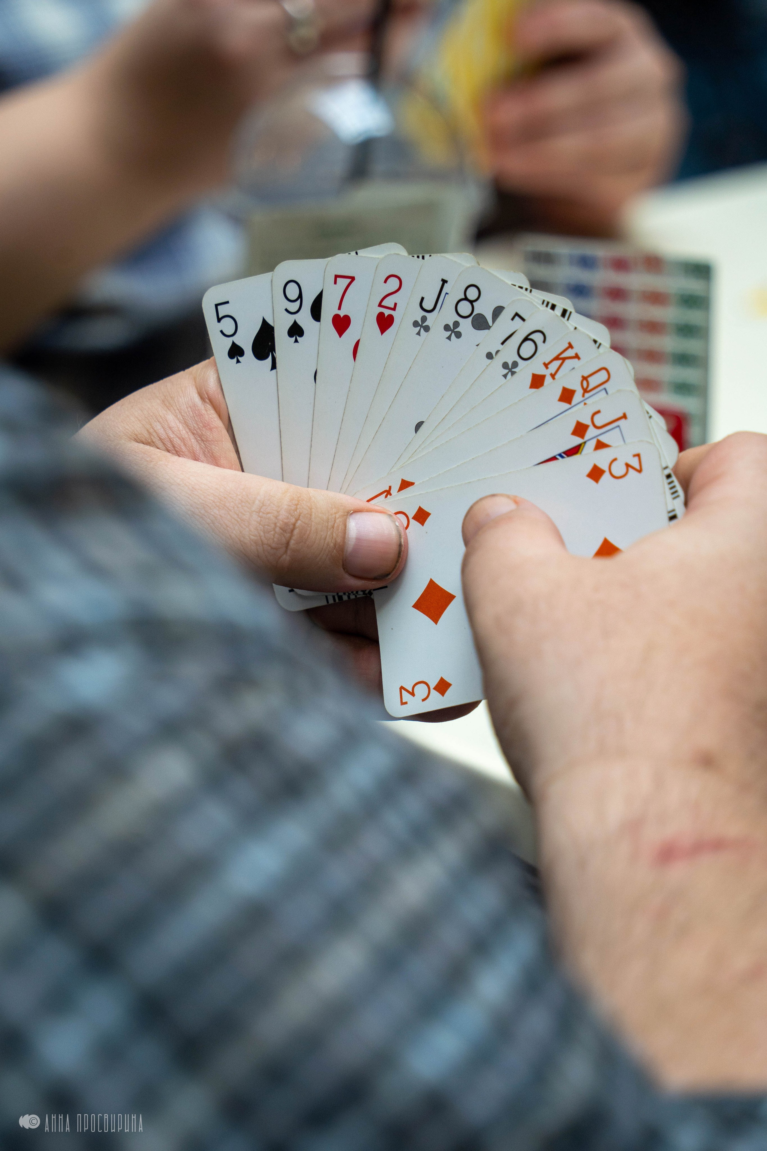 Турнир по бриджу, отель «Амбассадор». Ваш фотограф в Санкт-Петербурге Анна Просвирина