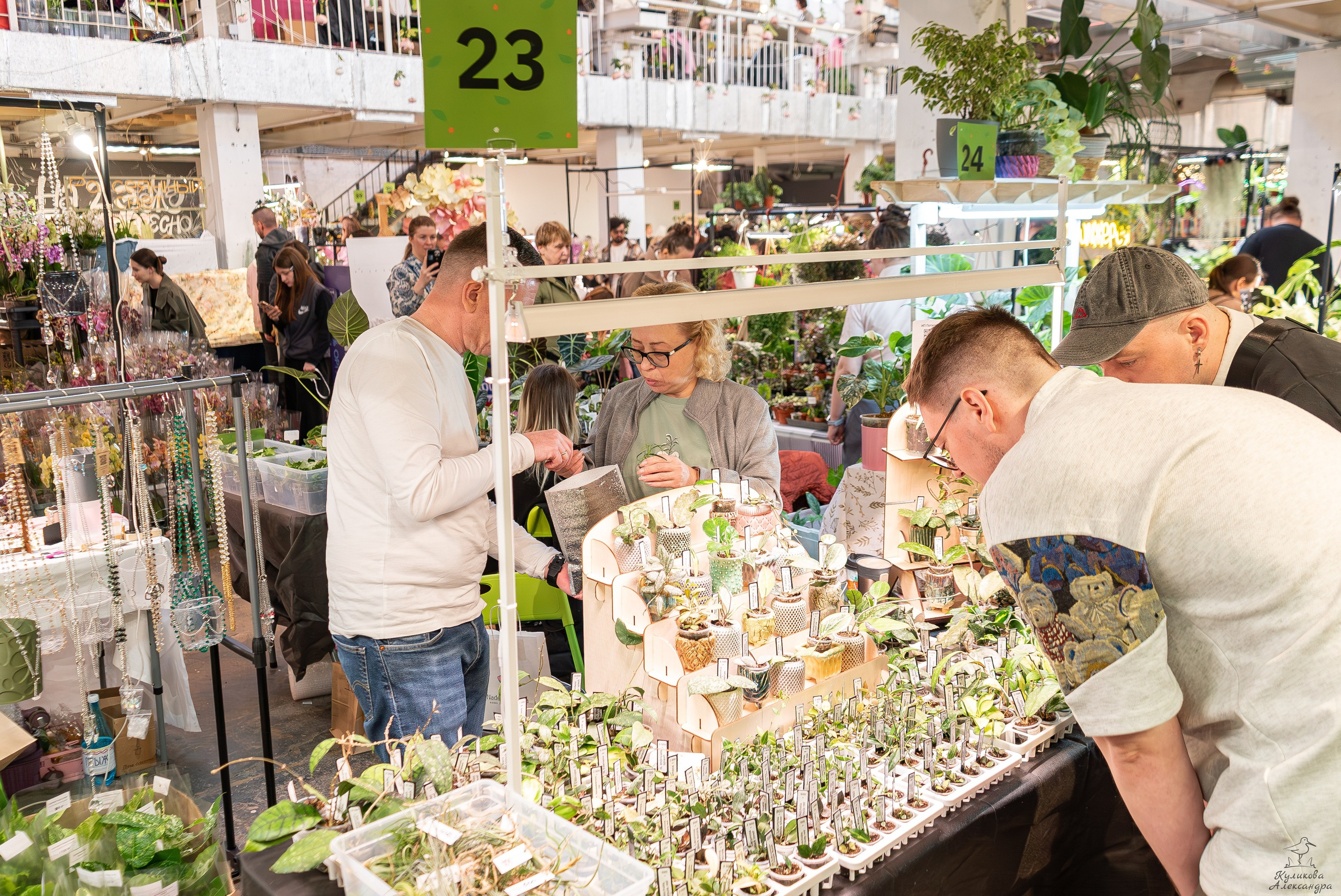 Гроубокс Артплей апрель. Александра Куликова фотограф, Москва