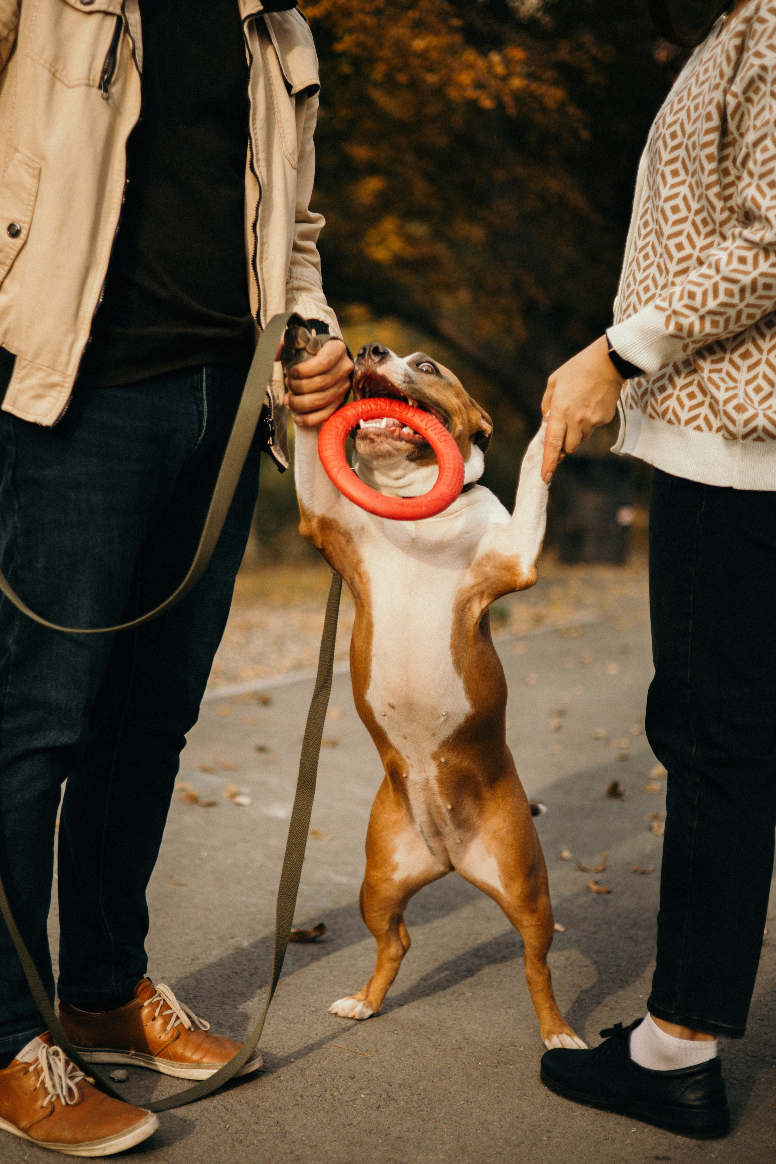 Лаффи и ее семья. Фотограф — анималист Владивосток, Алина