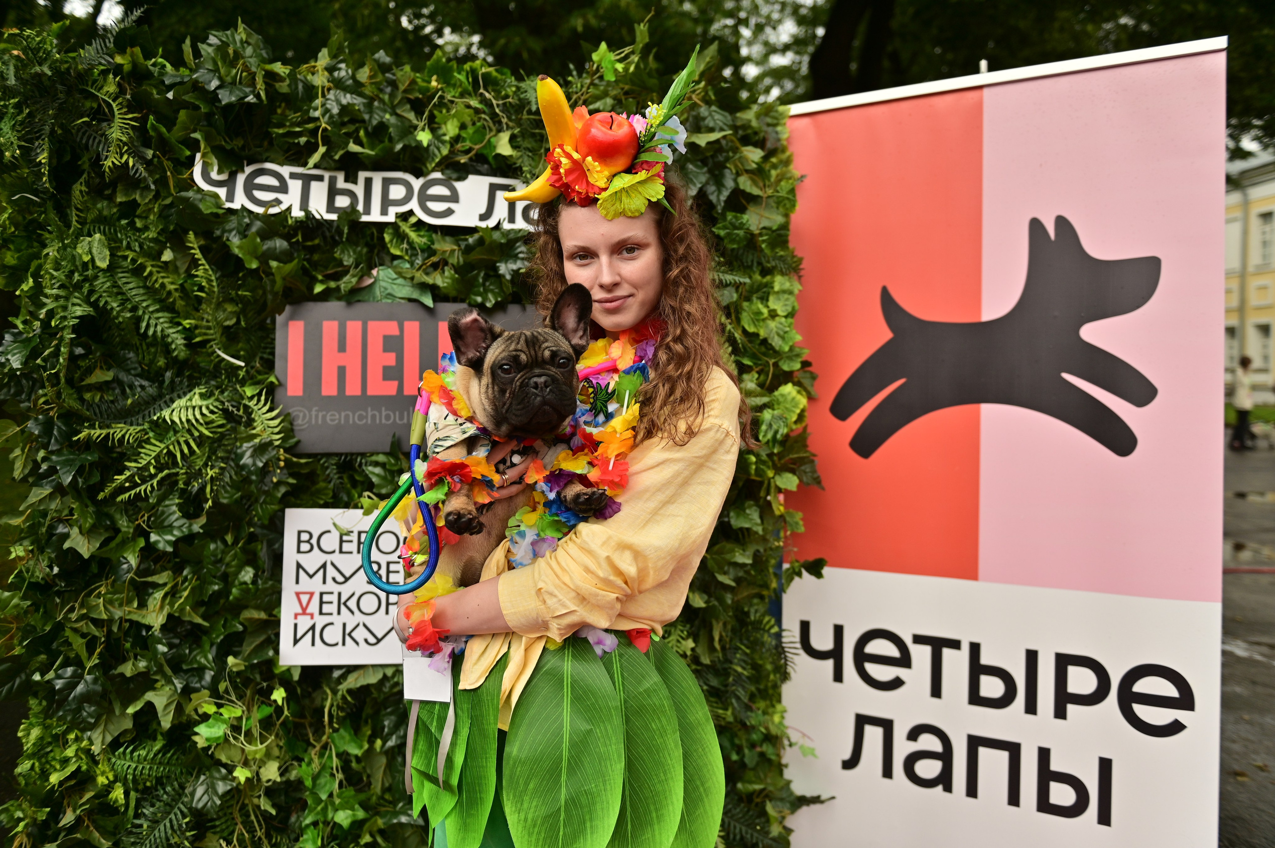 Парад французский бульдогов. Анна Пушина, фотограф, Москва, Королев, Пушкино