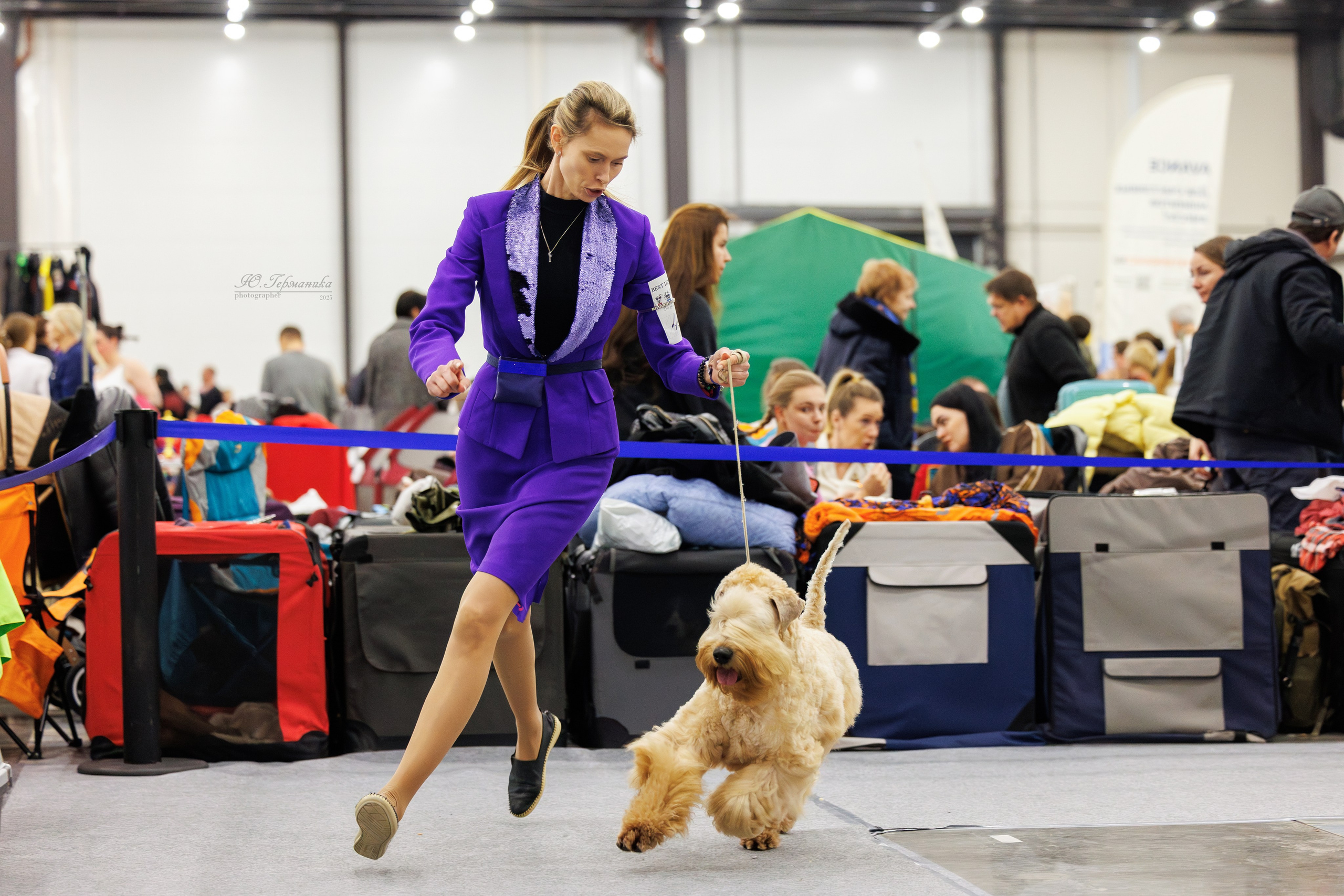 Питер 12-13.12.2025. Фотограф-анималист Юлия Германика