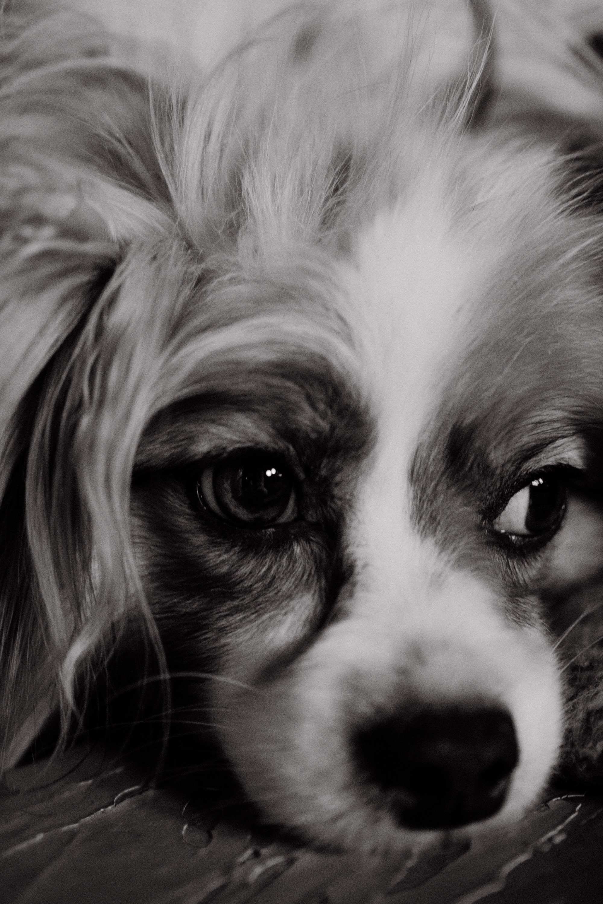 Калейдоскоп