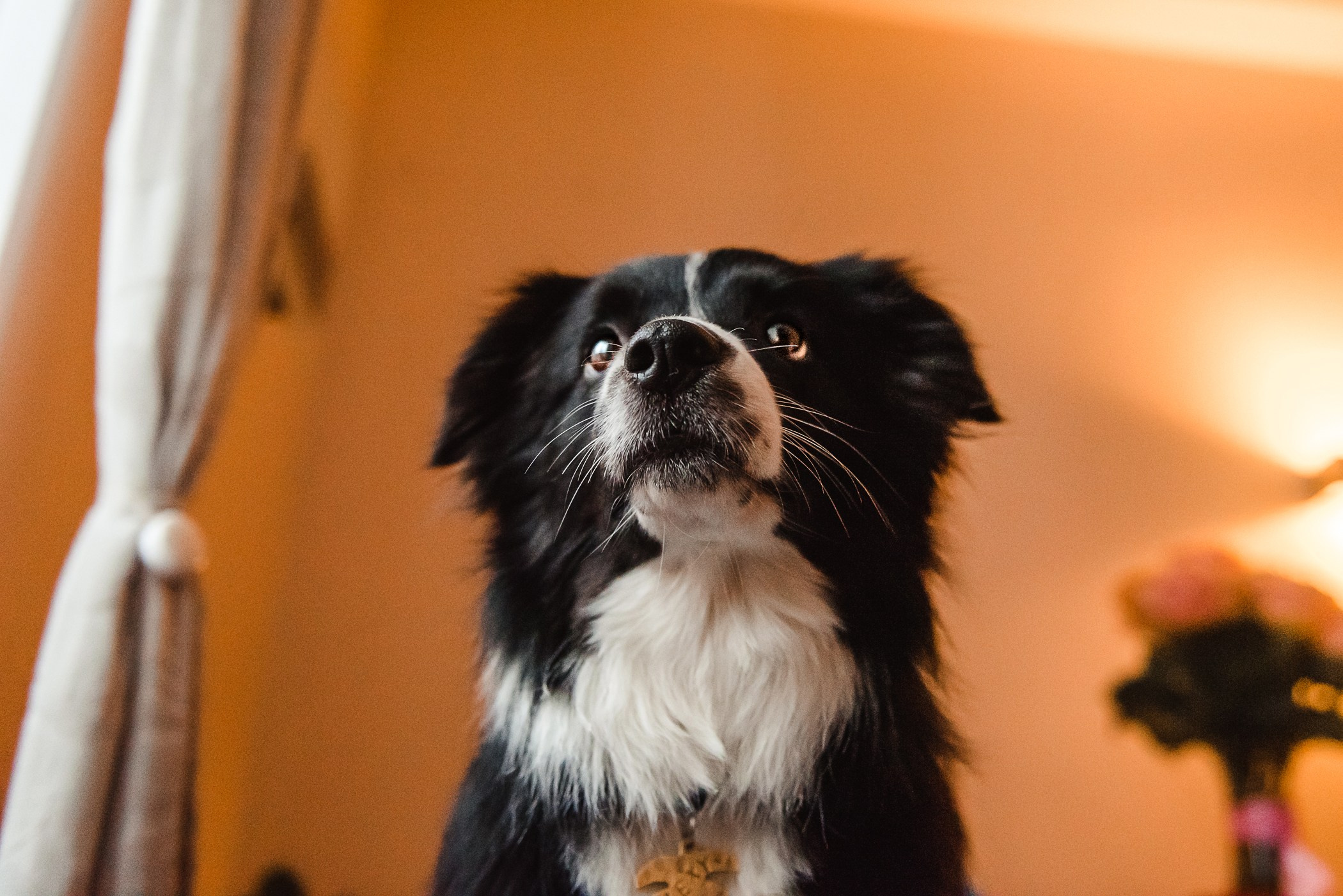 Пижамная вечеринка Тани и Димы. Семейный Фотограф в Москве Ирина Хохлова