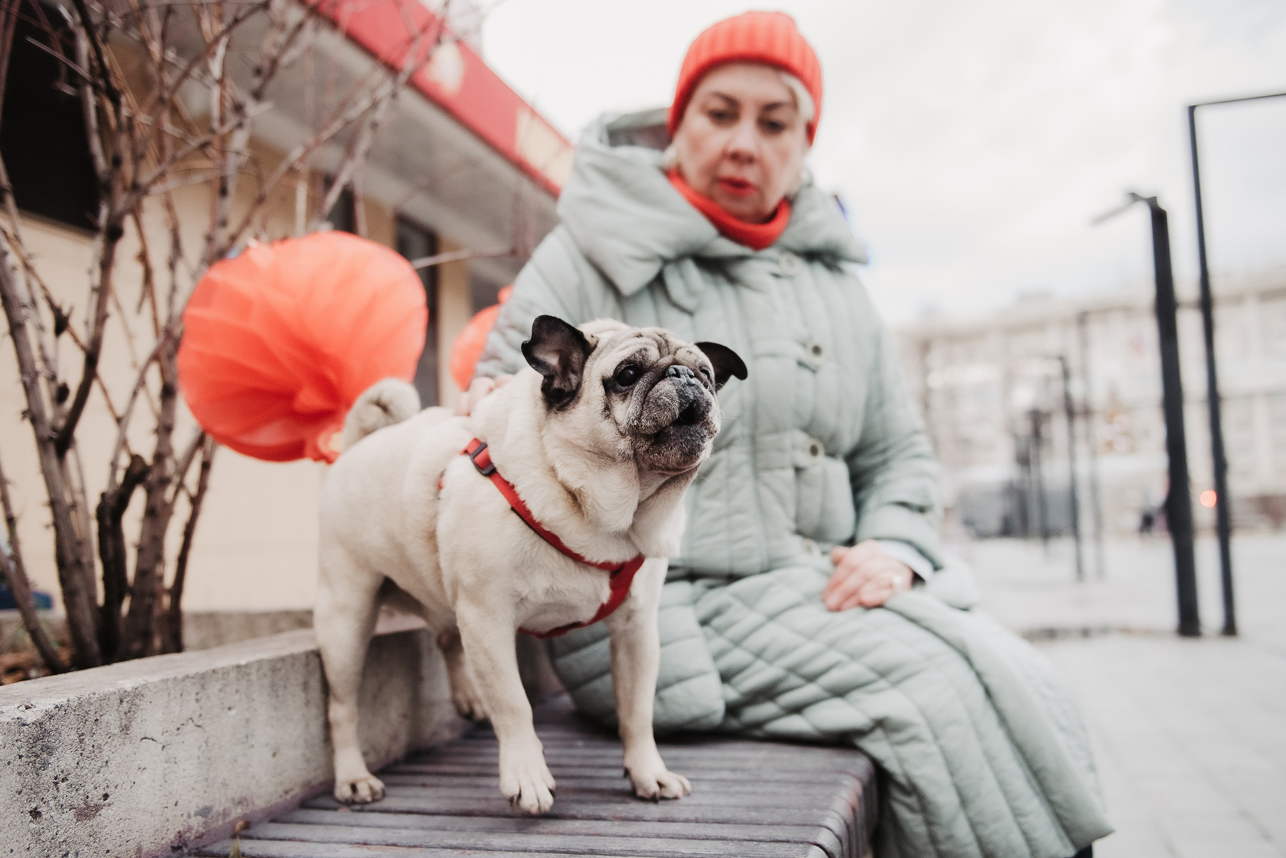 Ольга и Потапум. Прогулка к чайному дому. Семейный Фотограф в Москве Ирина Хохлова