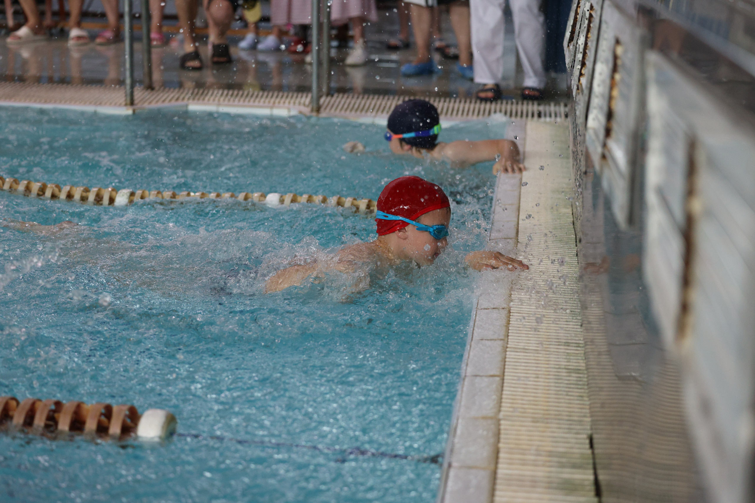 Веселый дельфин. Плавание. Дети 8-9 лет. Фотограф Александр Заломаев