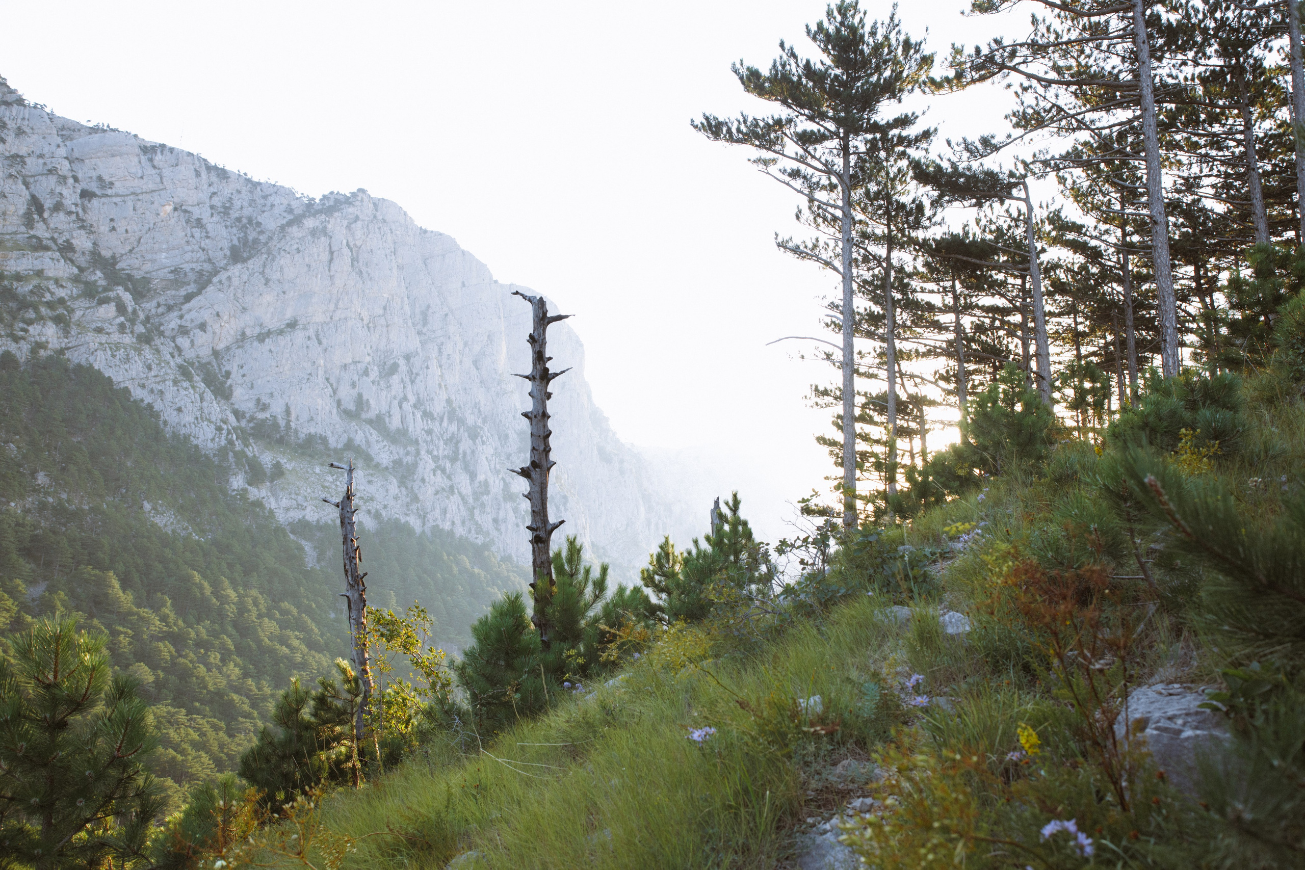 Nature. Артем Корнев Фотограф