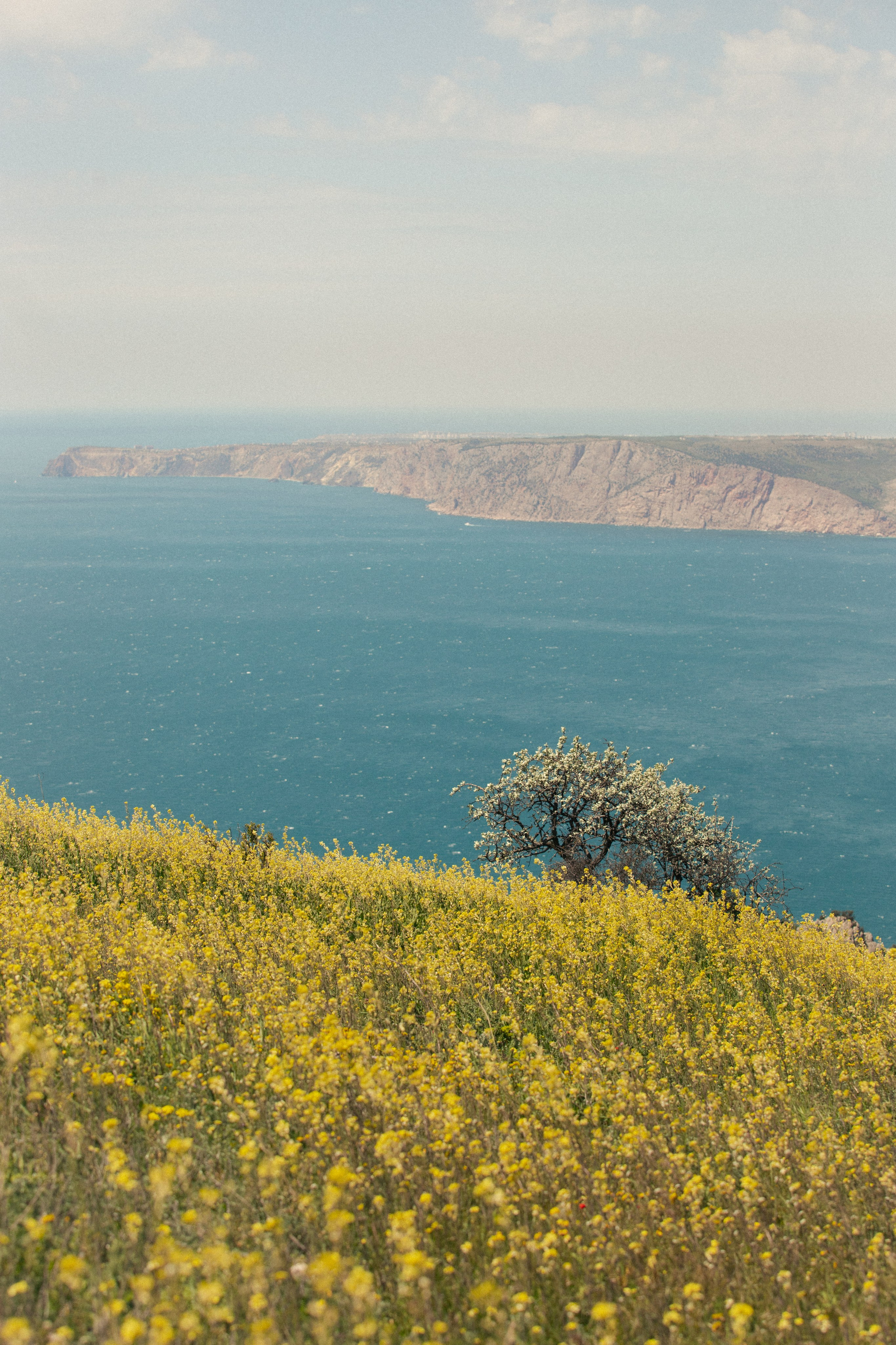 Nature. Артем Корнев Фотограф