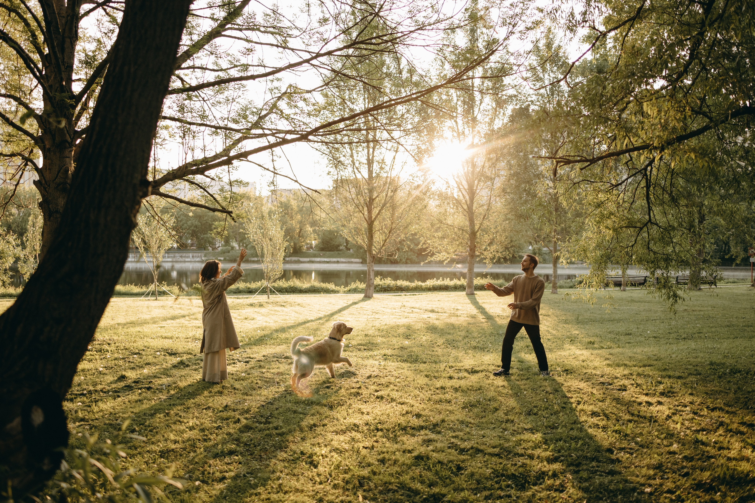 Пенни и ребята. Фотограф — Анималист | Санкт-Петербург