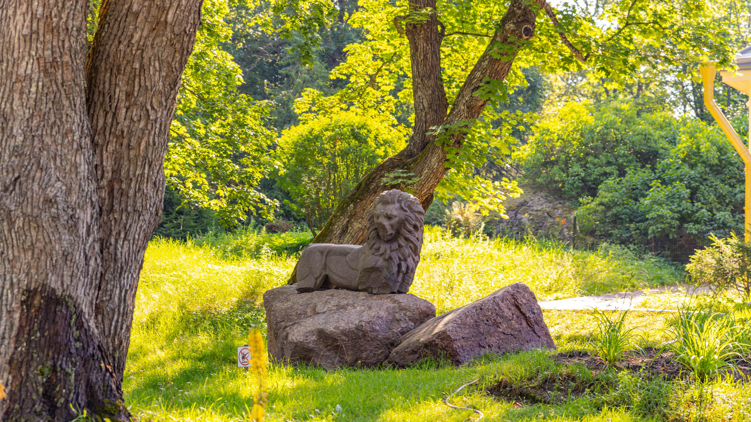 2025 07 Выборг — Сортавала — Великий Новгород — Псков. Фотографии