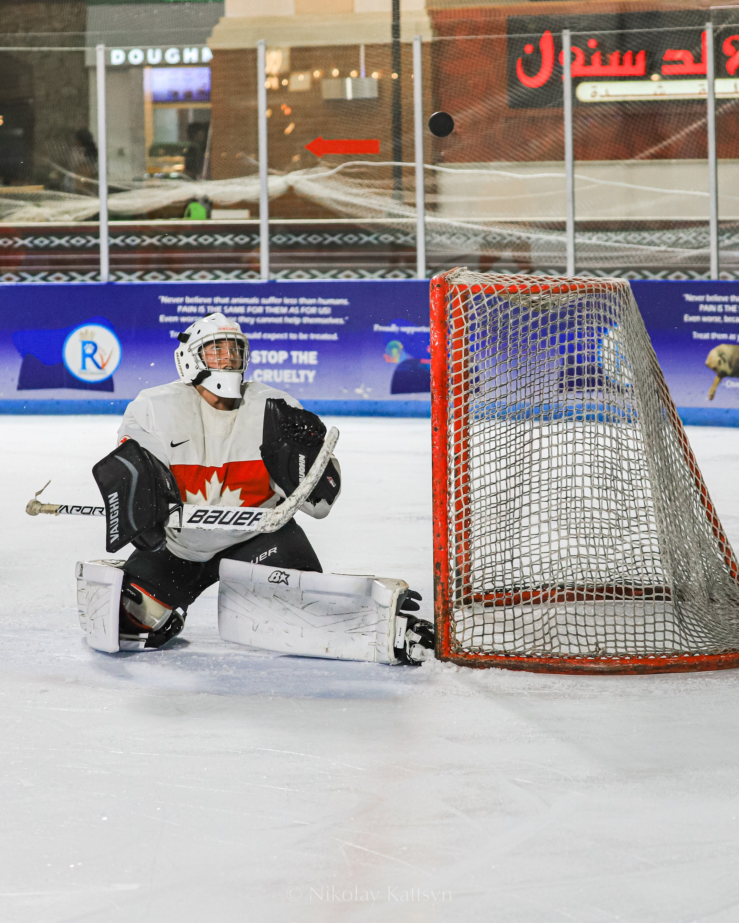 Хоккей. Фотограф в Москве портреты | репортажи | спорт